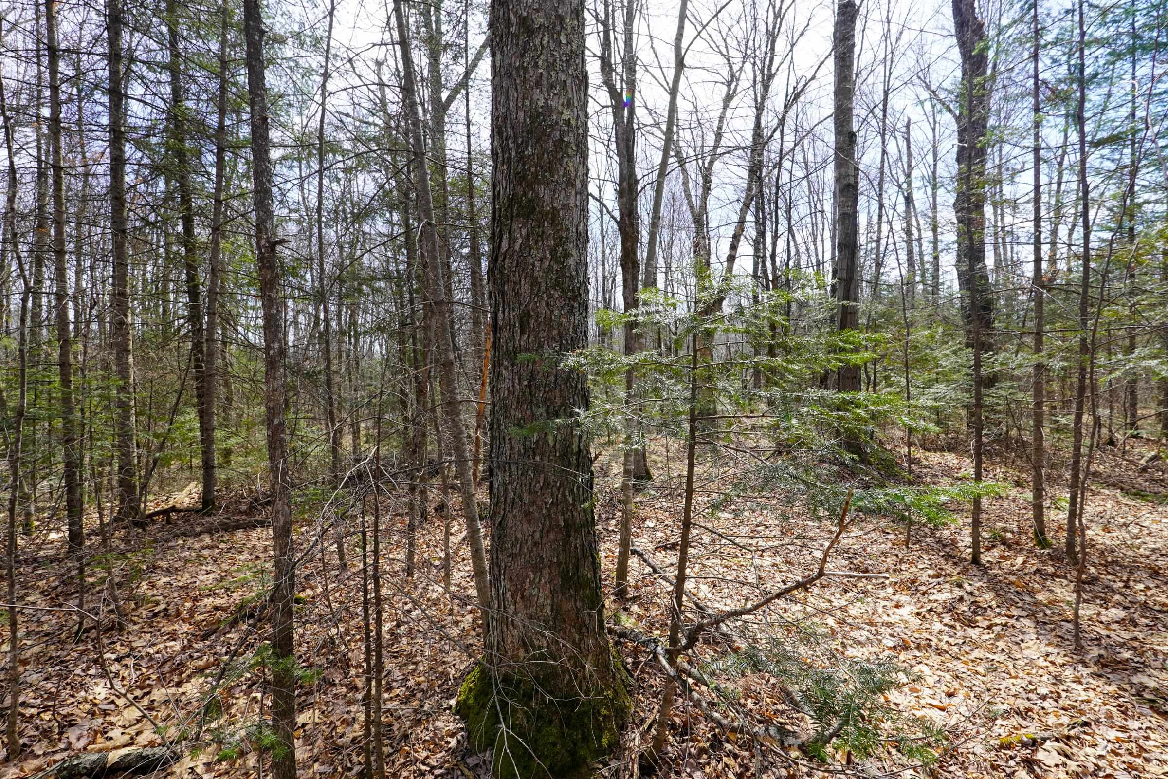 N8584 COUNTY ROAD E, Westboro, Wisconsin 54490, 2 Bedrooms Bedrooms, ,2 BathroomsBathrooms,Residential,For Sale,N8584 COUNTY ROAD E,22601375