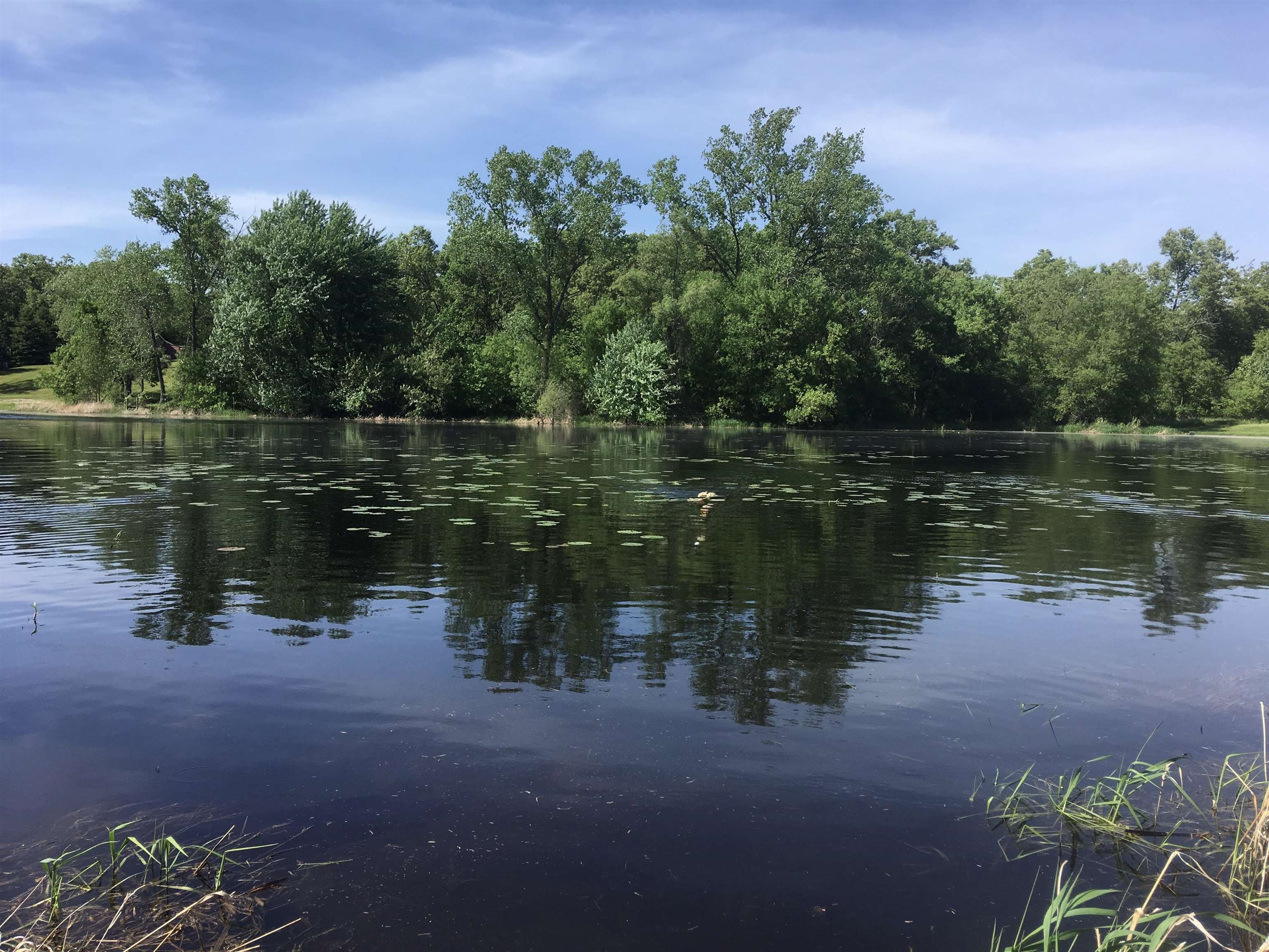 9090 COUNTY ROAD N, Almond, Wisconsin 54909, 3 Bedrooms Bedrooms, ,1 BathroomBathrooms,Residential,For Sale,9090 COUNTY ROAD N,22601382