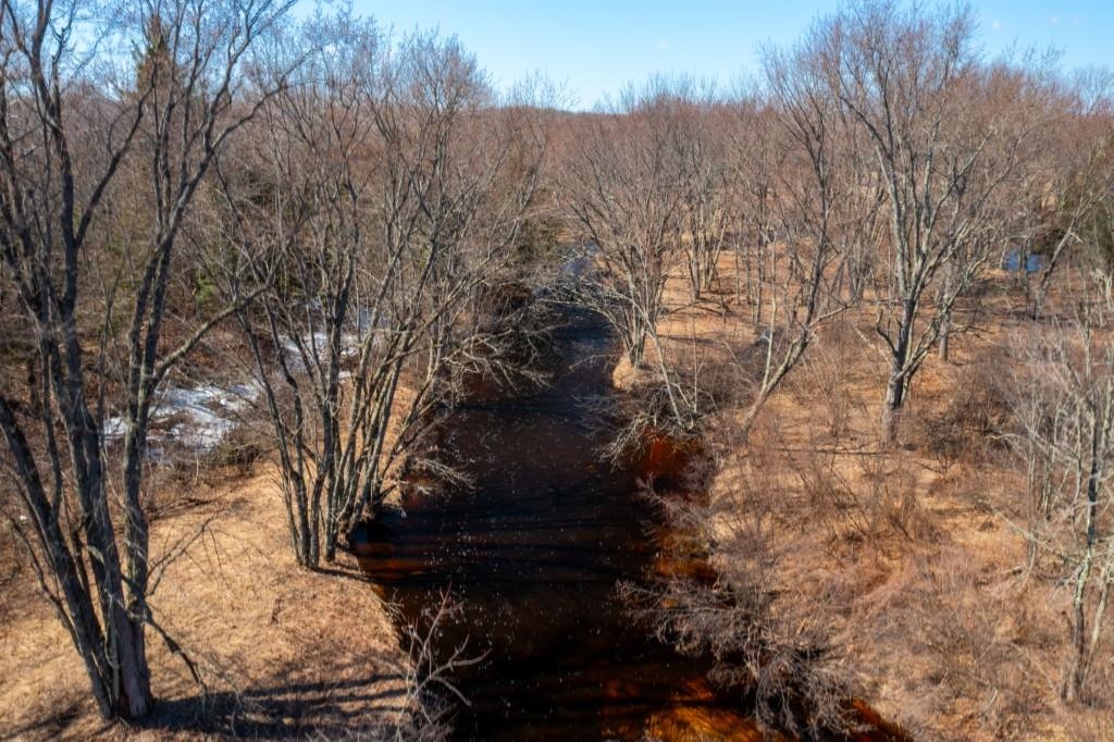 N11556 COUNTY ROAD T, Tripoli, Wisconsin 54564, ,Land,For Sale,N11556 COUNTY ROAD T,22601416