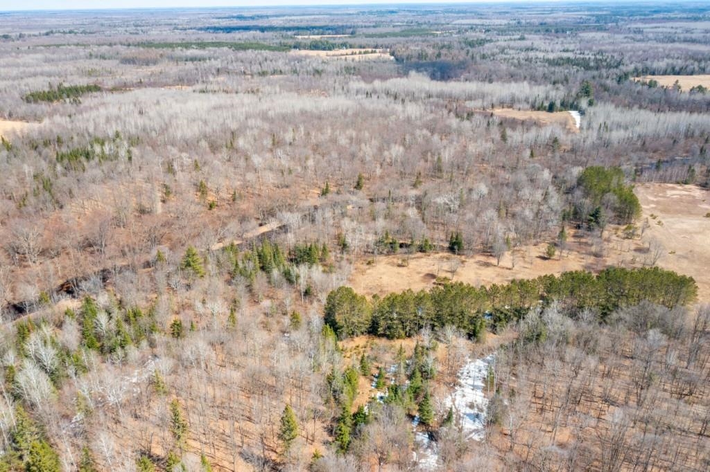 N11556 COUNTY ROAD T, Tripoli, Wisconsin 54564, ,Land,For Sale,N11556 COUNTY ROAD T,22601416