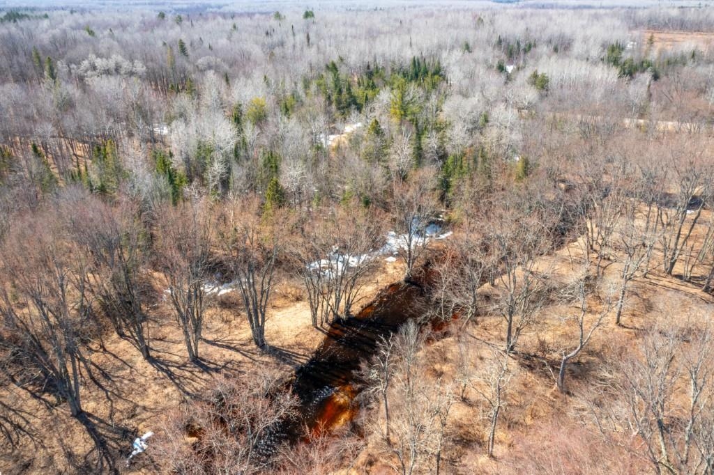 N11556 COUNTY ROAD T, Tripoli, Wisconsin 54564, ,Land,For Sale,N11556 COUNTY ROAD T,22601416