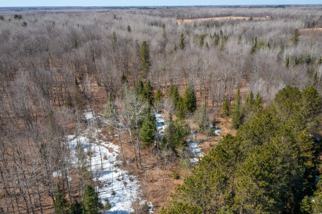 N11556 COUNTY ROAD T, Tripoli, Wisconsin 54564, ,Land,For Sale,N11556 COUNTY ROAD T,22601416