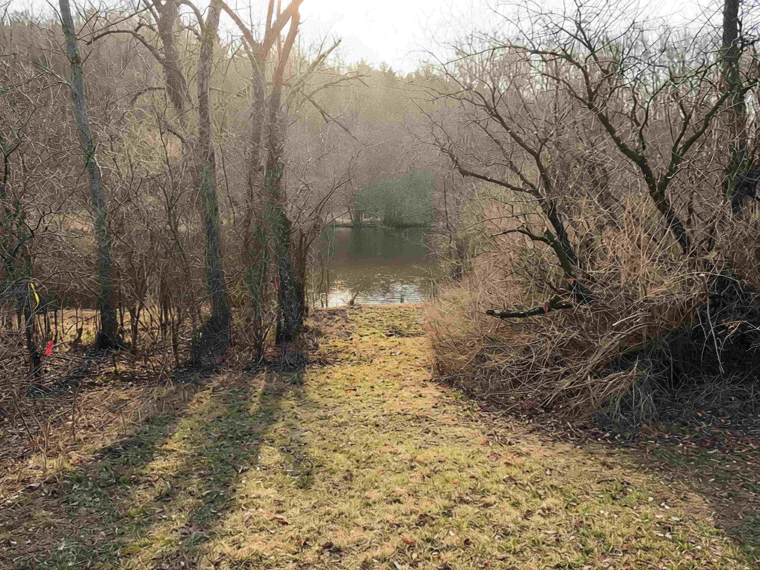 N3820 MANNEY COURT, Waupaca, Wisconsin 54981, ,Land,For Sale,N3820 MANNEY COURT,22601430