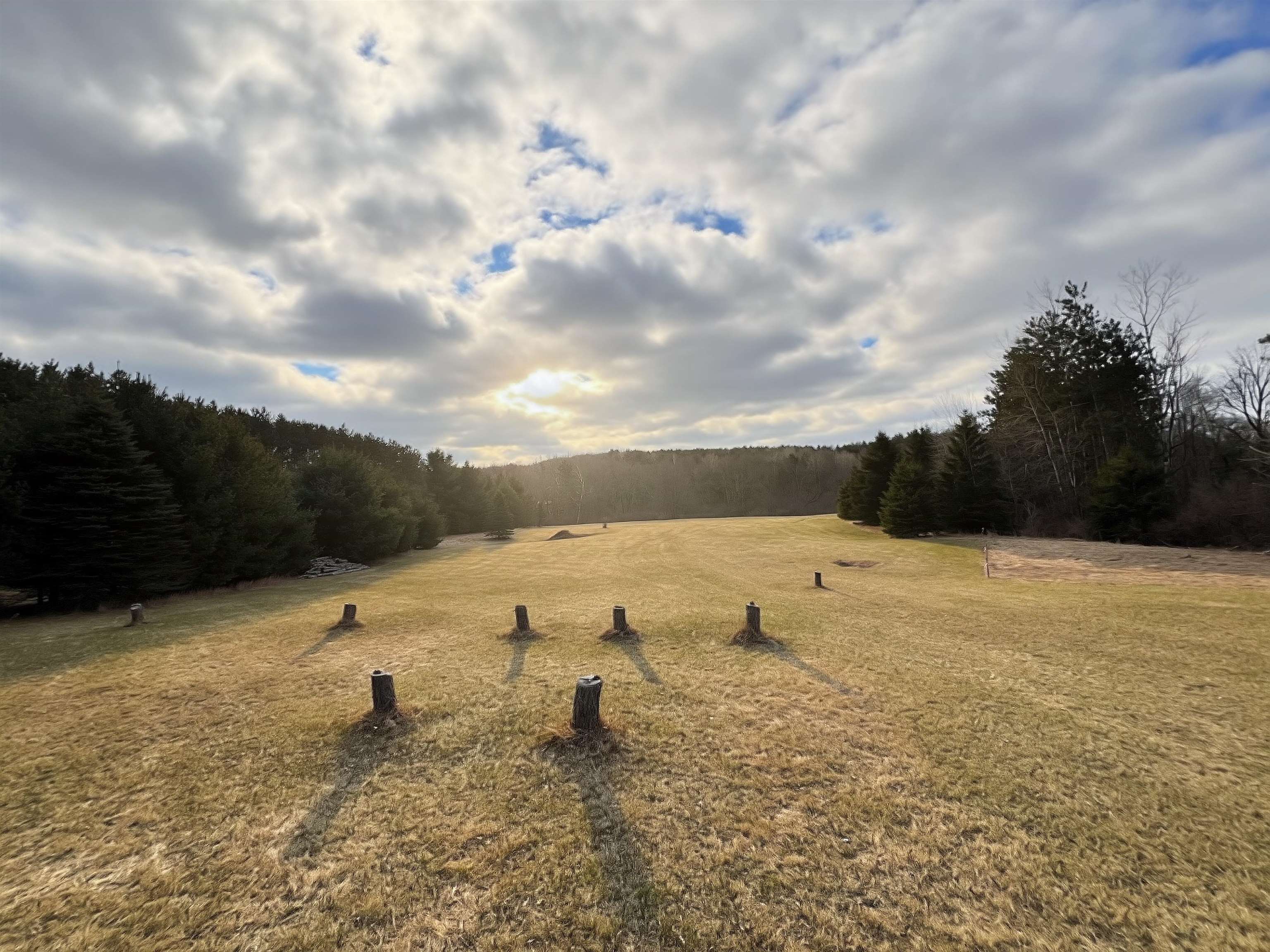 N3820 MANNEY COURT, Waupaca, Wisconsin 54981, ,Land,For Sale,N3820 MANNEY COURT,22601430