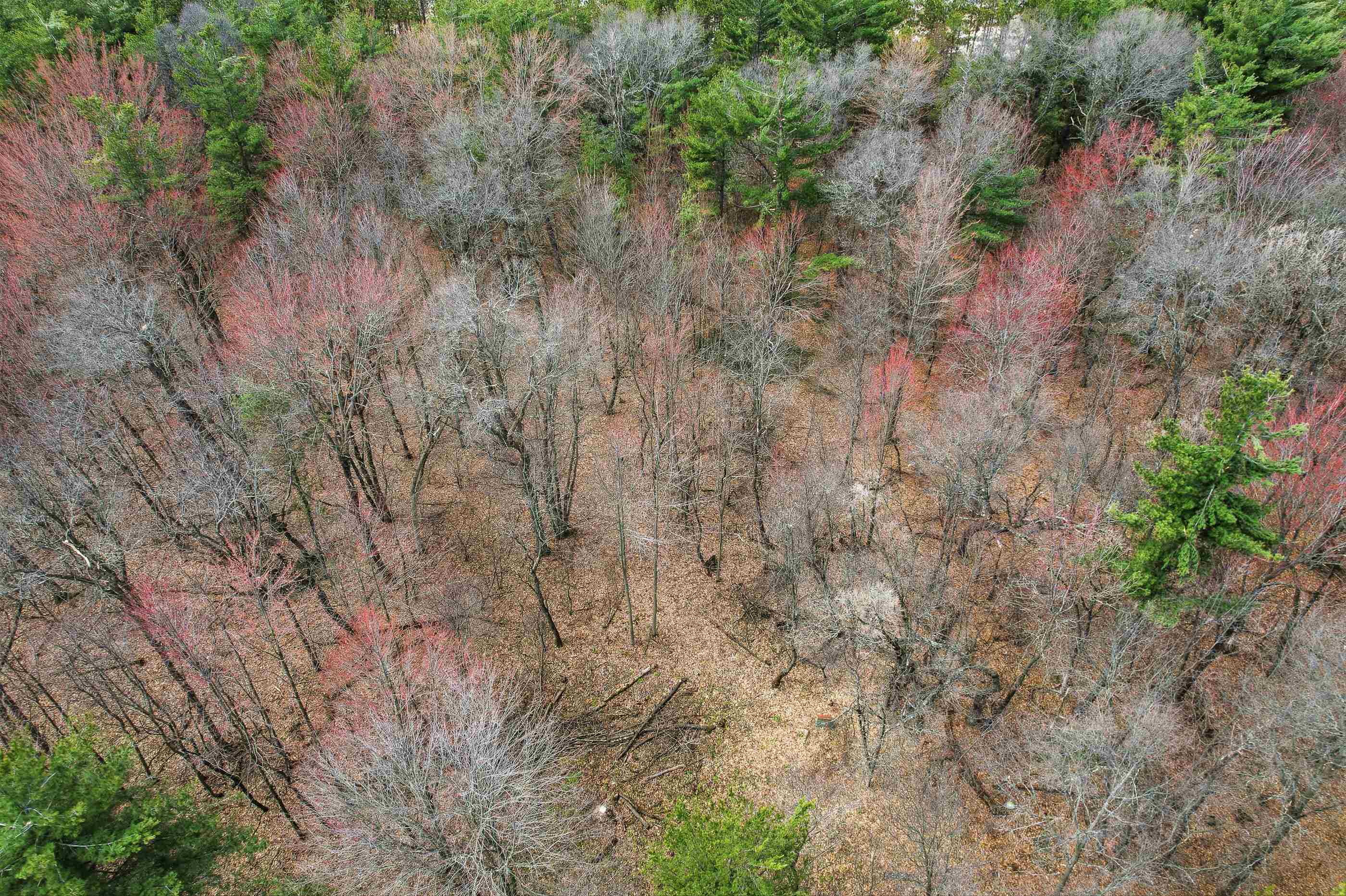 3.99 Acres HARDING ROAD, Plainfield, Wisconsin 54966, ,Land,For Sale,3.99 Acres HARDING ROAD,22601433