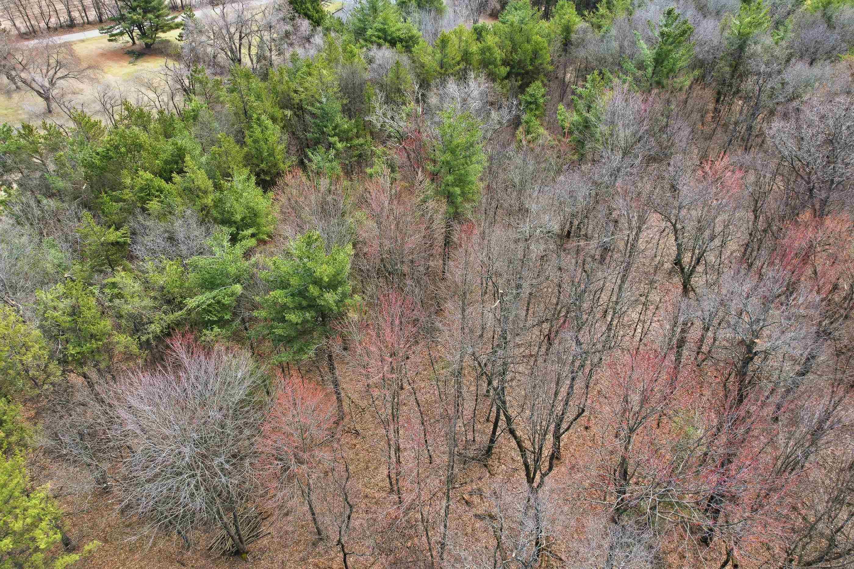 3.99 Acres HARDING ROAD, Plainfield, Wisconsin 54966, ,Land,For Sale,3.99 Acres HARDING ROAD,22601433