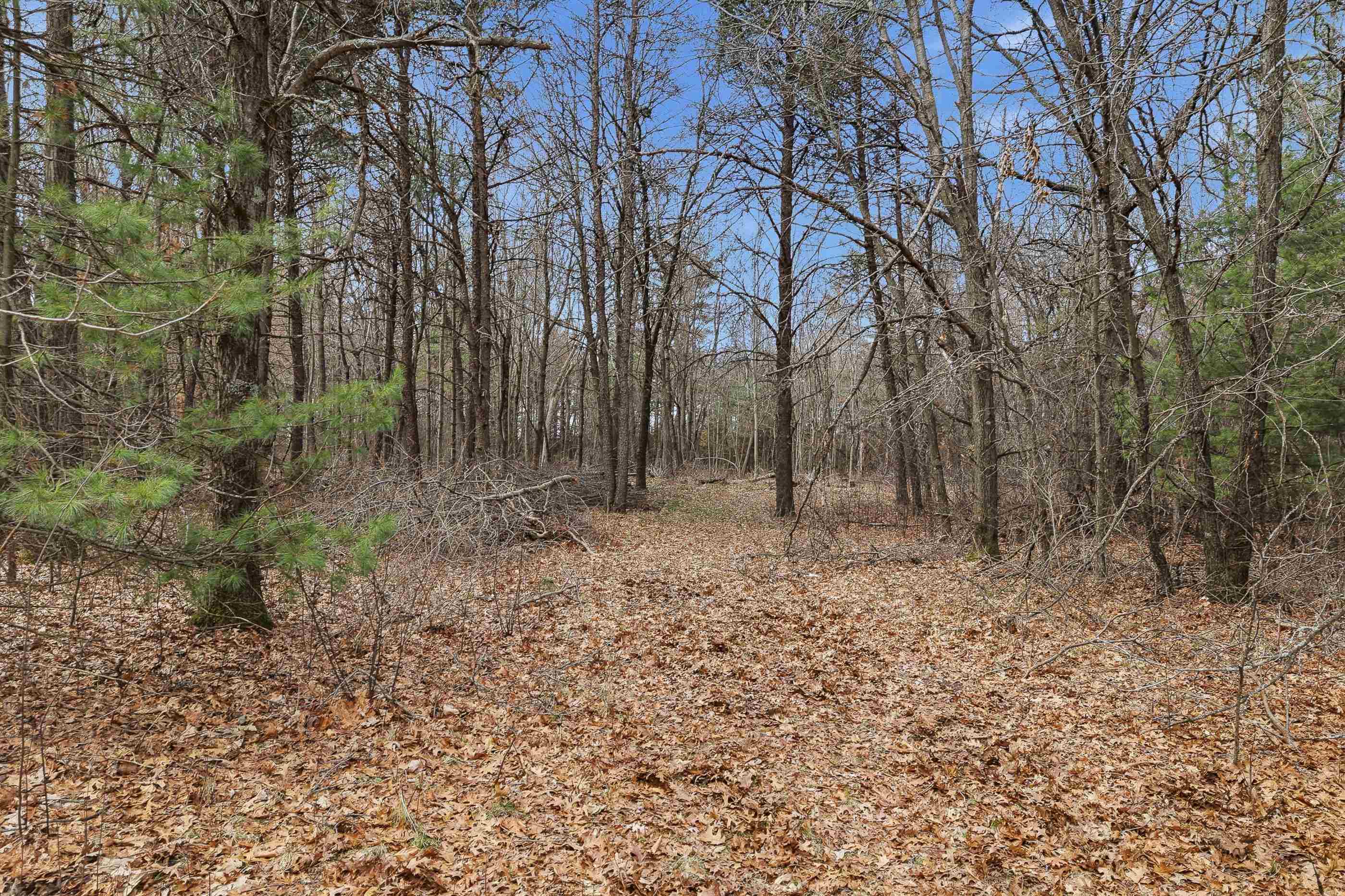 3.99 Acres HARDING ROAD, Plainfield, Wisconsin 54966, ,Land,For Sale,3.99 Acres HARDING ROAD,22601433