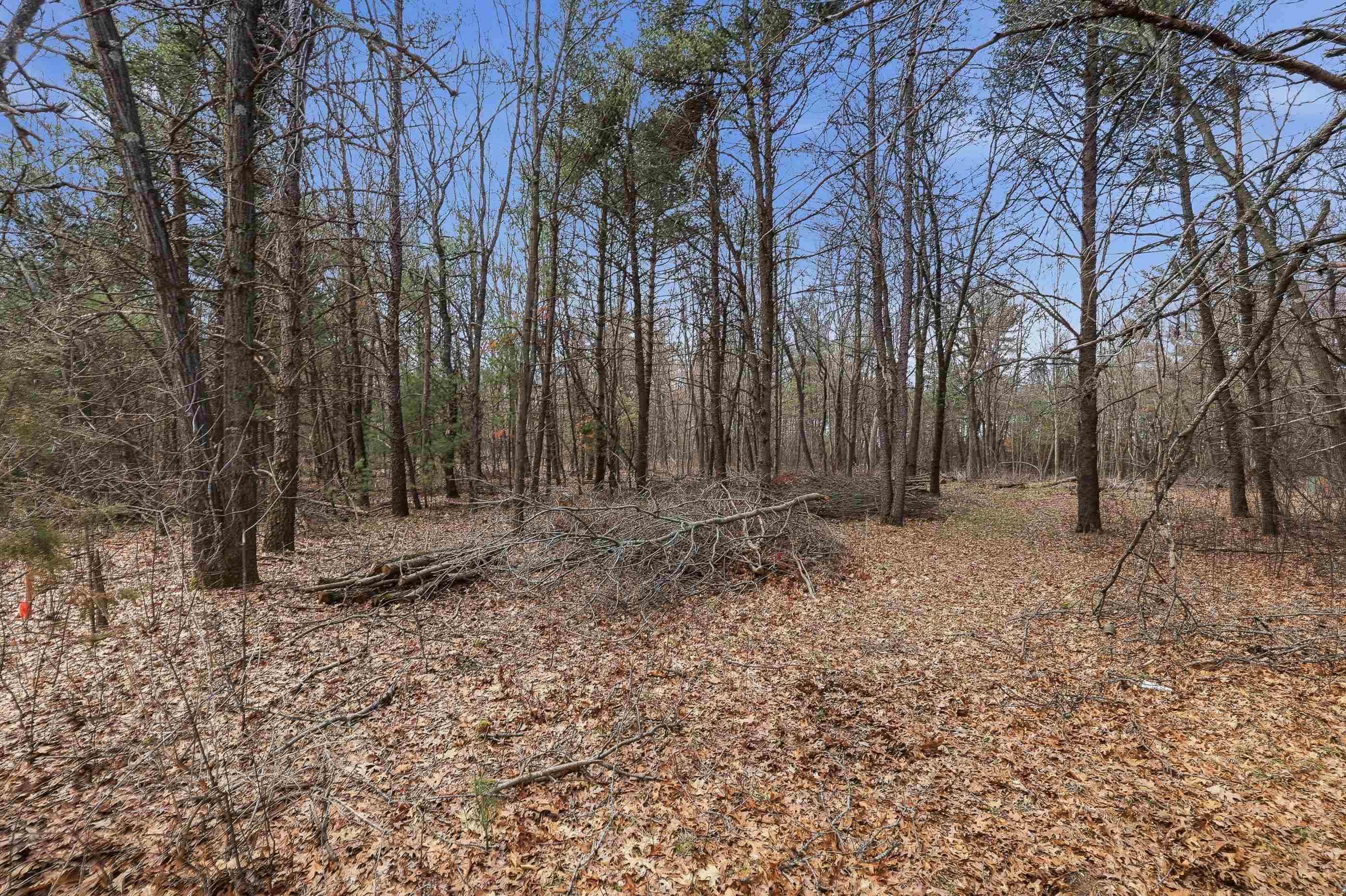 3.99 Acres HARDING ROAD, Plainfield, Wisconsin 54966, ,Land,For Sale,3.99 Acres HARDING ROAD,22601433