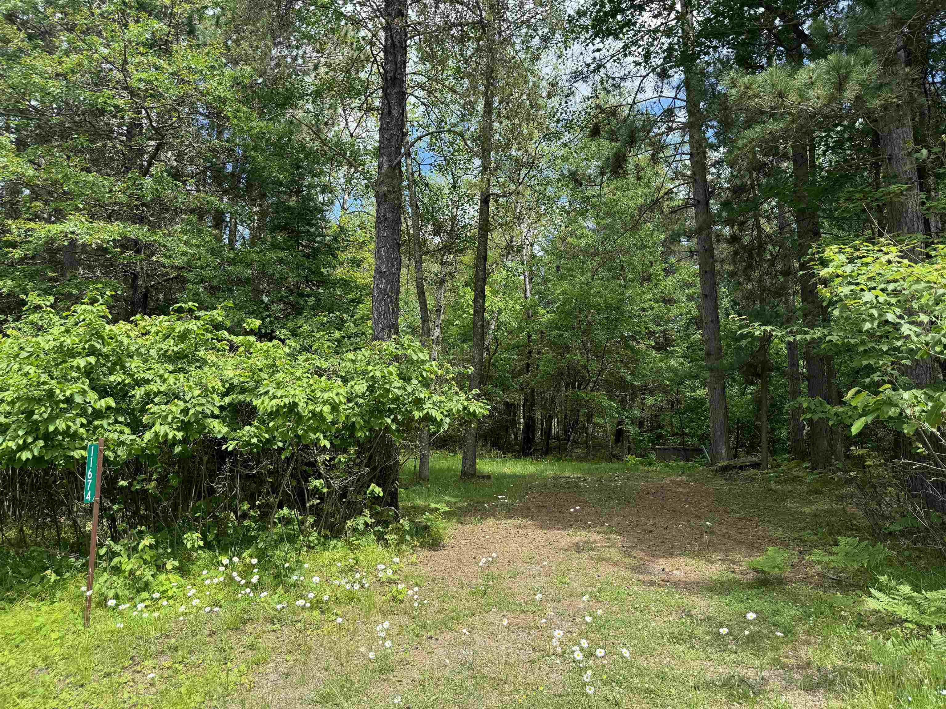 11674 SHERWOOD LANE, Woodruff, Wisconsin 54568, ,Land,For Sale,11674 SHERWOOD LANE,22601436