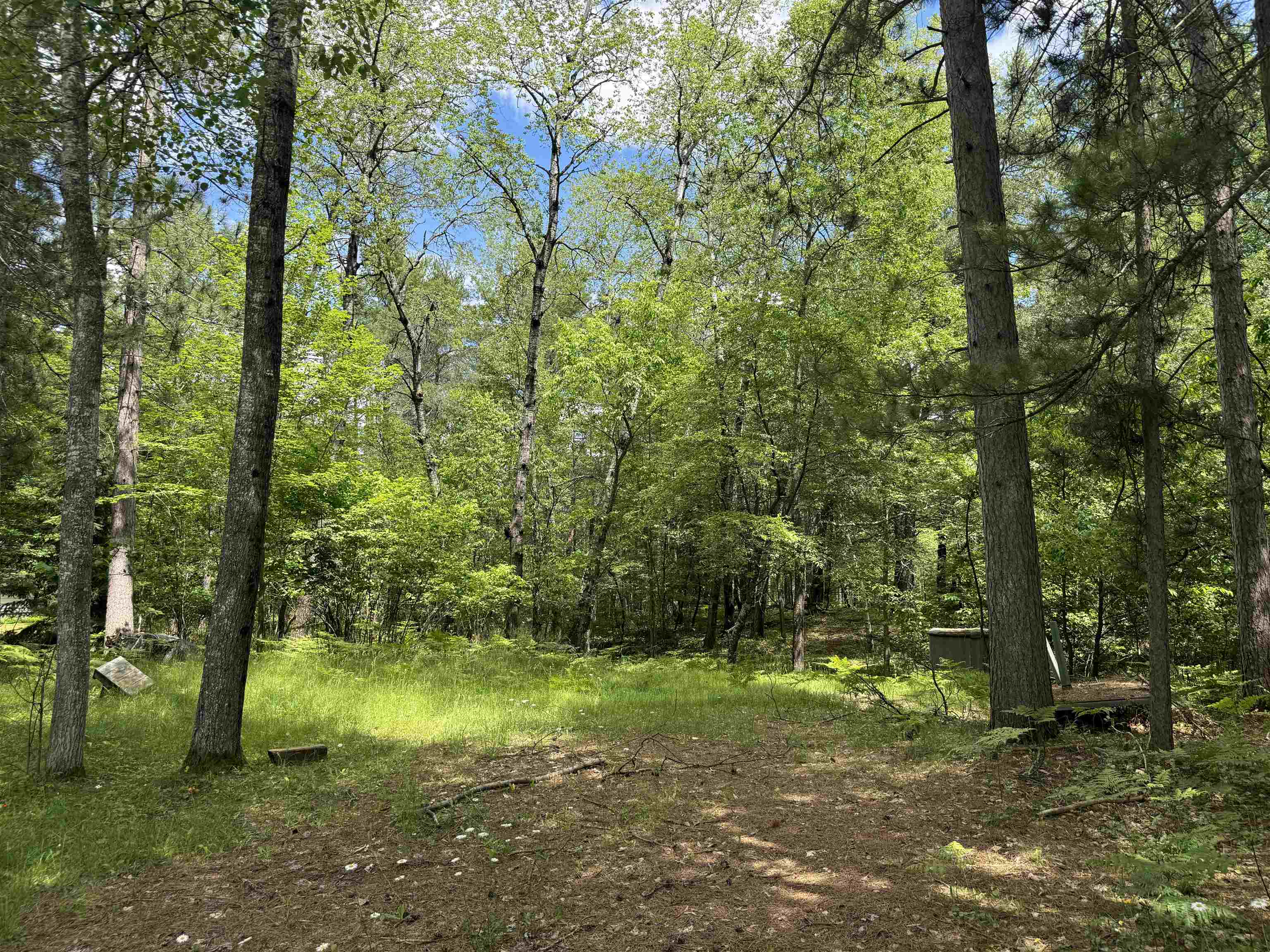 11674 SHERWOOD LANE, Woodruff, Wisconsin 54568, ,Land,For Sale,11674 SHERWOOD LANE,22601436