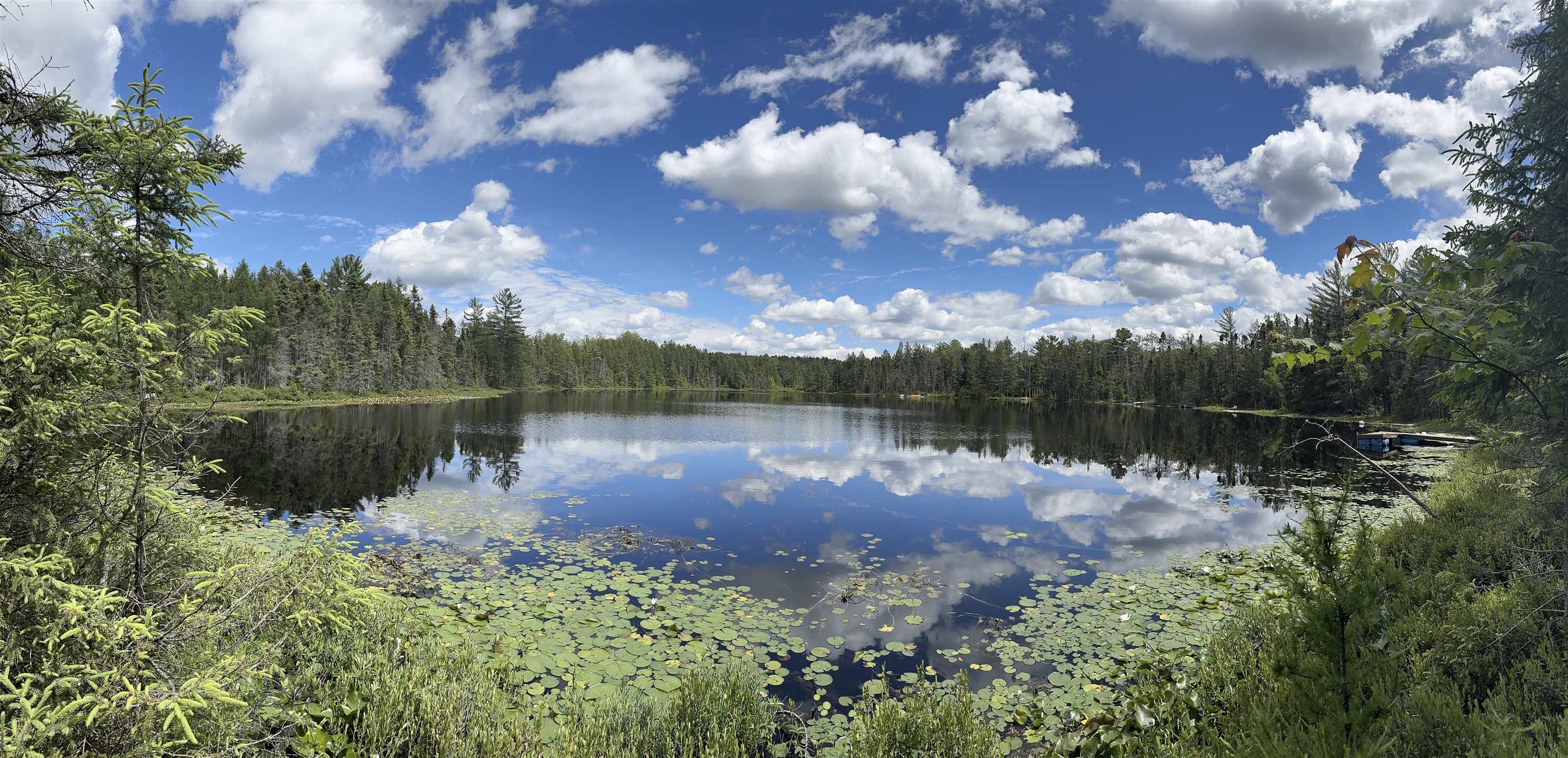 11674 SHERWOOD LANE, Woodruff, Wisconsin 54568, ,Land,For Sale,11674 SHERWOOD LANE,22601436