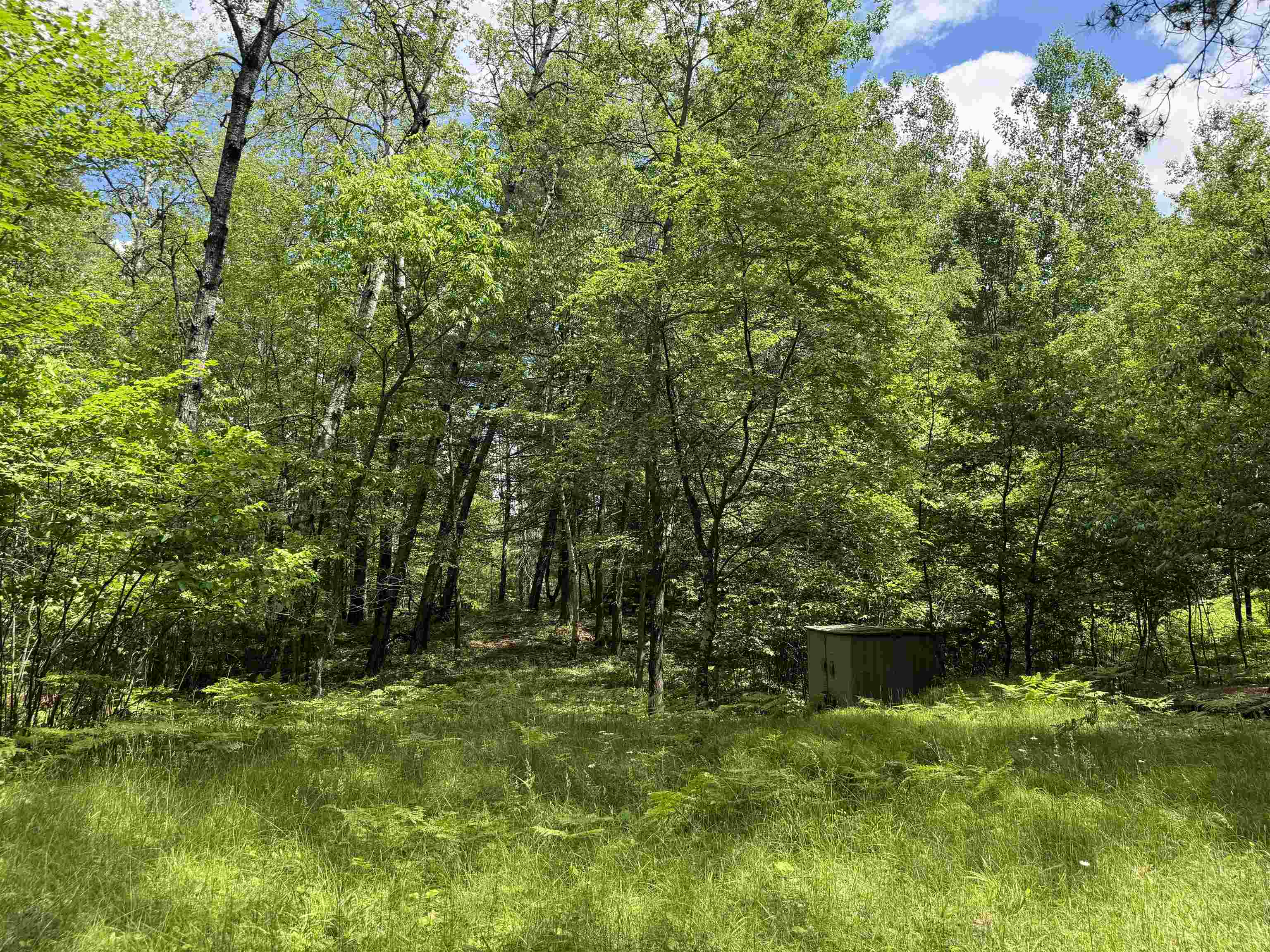 11674 SHERWOOD LANE, Woodruff, Wisconsin 54568, ,Land,For Sale,11674 SHERWOOD LANE,22601436