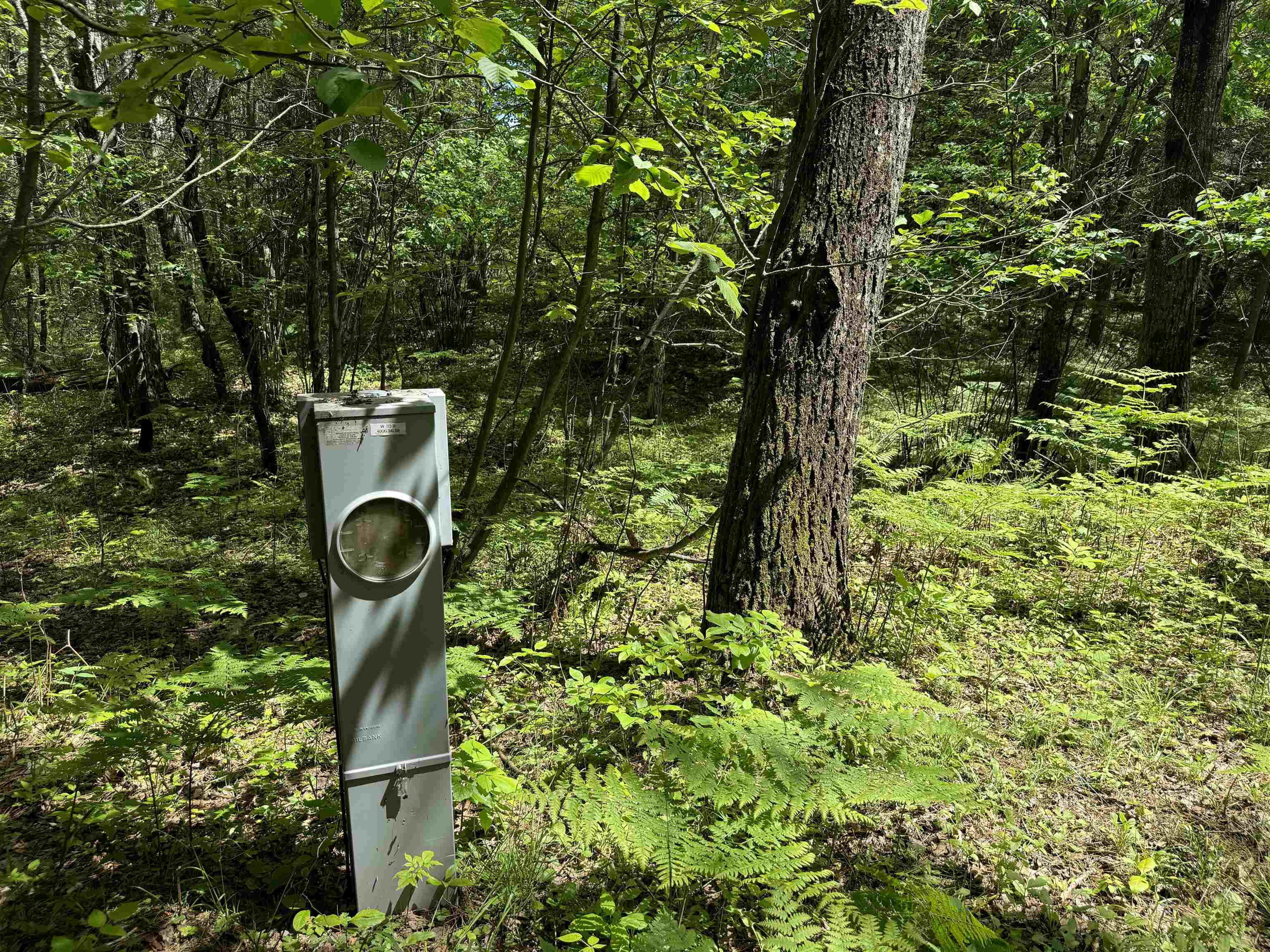 11674 SHERWOOD LANE, Woodruff, Wisconsin 54568, ,Land,For Sale,11674 SHERWOOD LANE,22601436