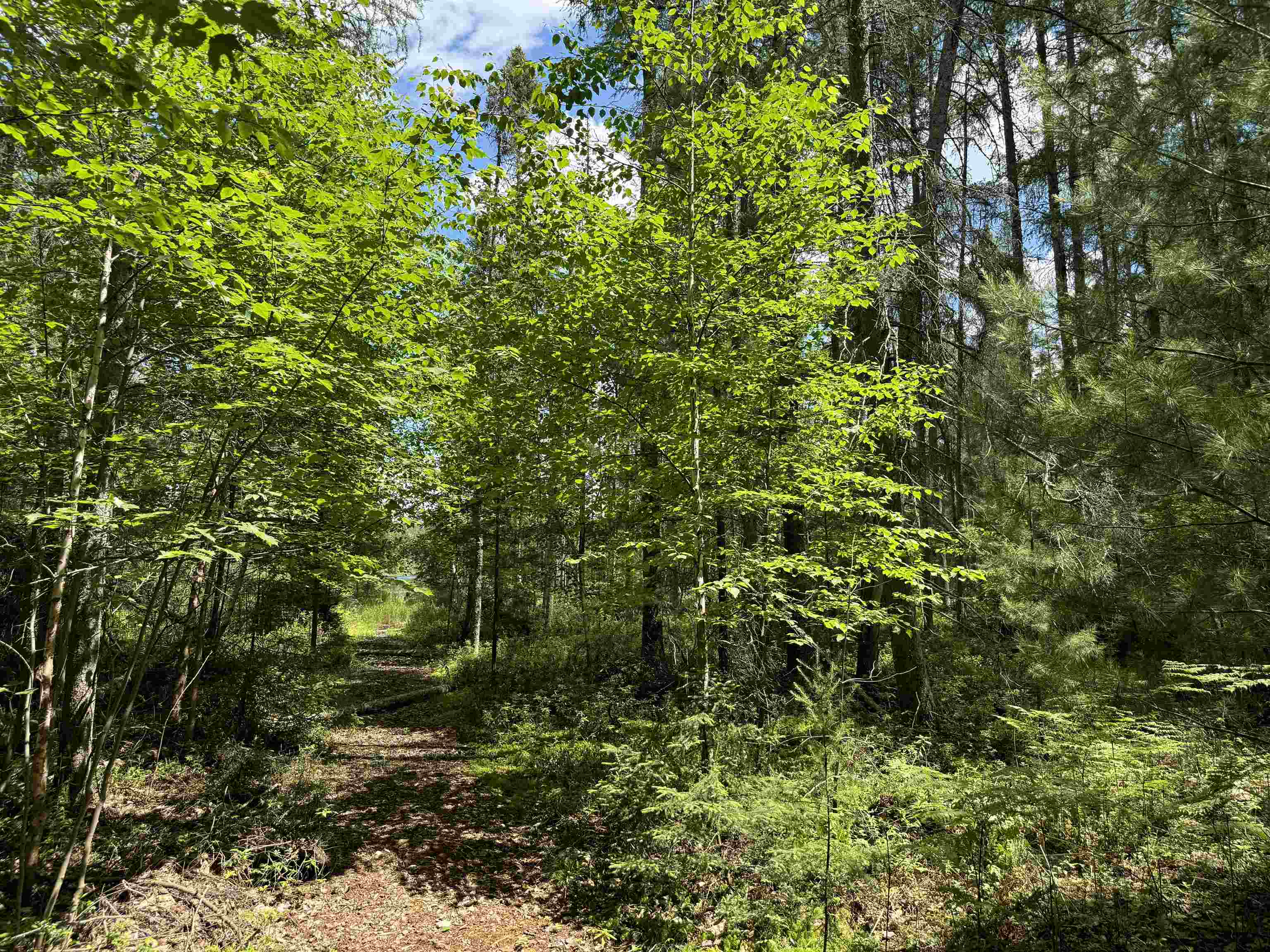 11674 SHERWOOD LANE, Woodruff, Wisconsin 54568, ,Land,For Sale,11674 SHERWOOD LANE,22601436