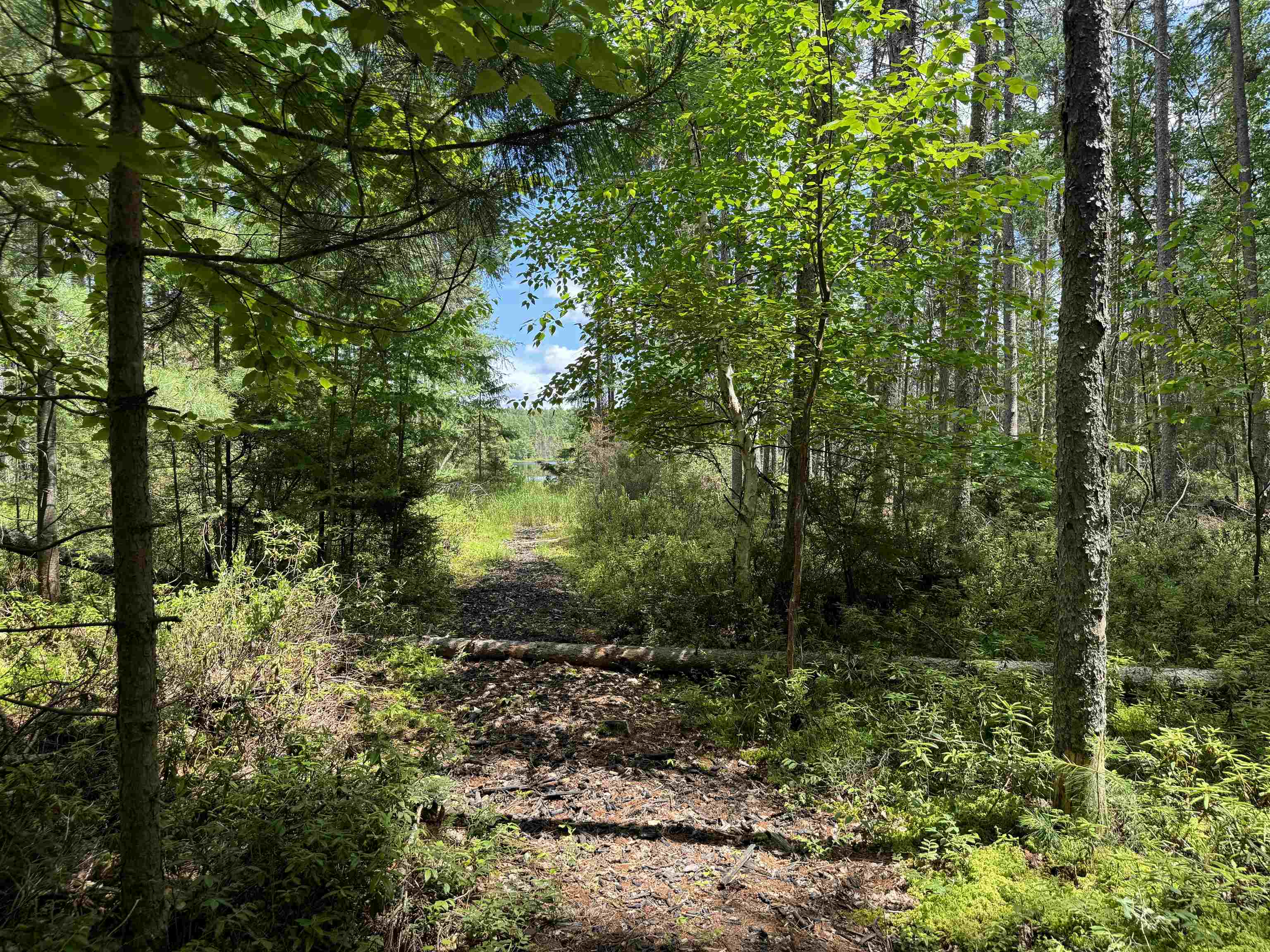11674 SHERWOOD LANE, Woodruff, Wisconsin 54568, ,Land,For Sale,11674 SHERWOOD LANE,22601436