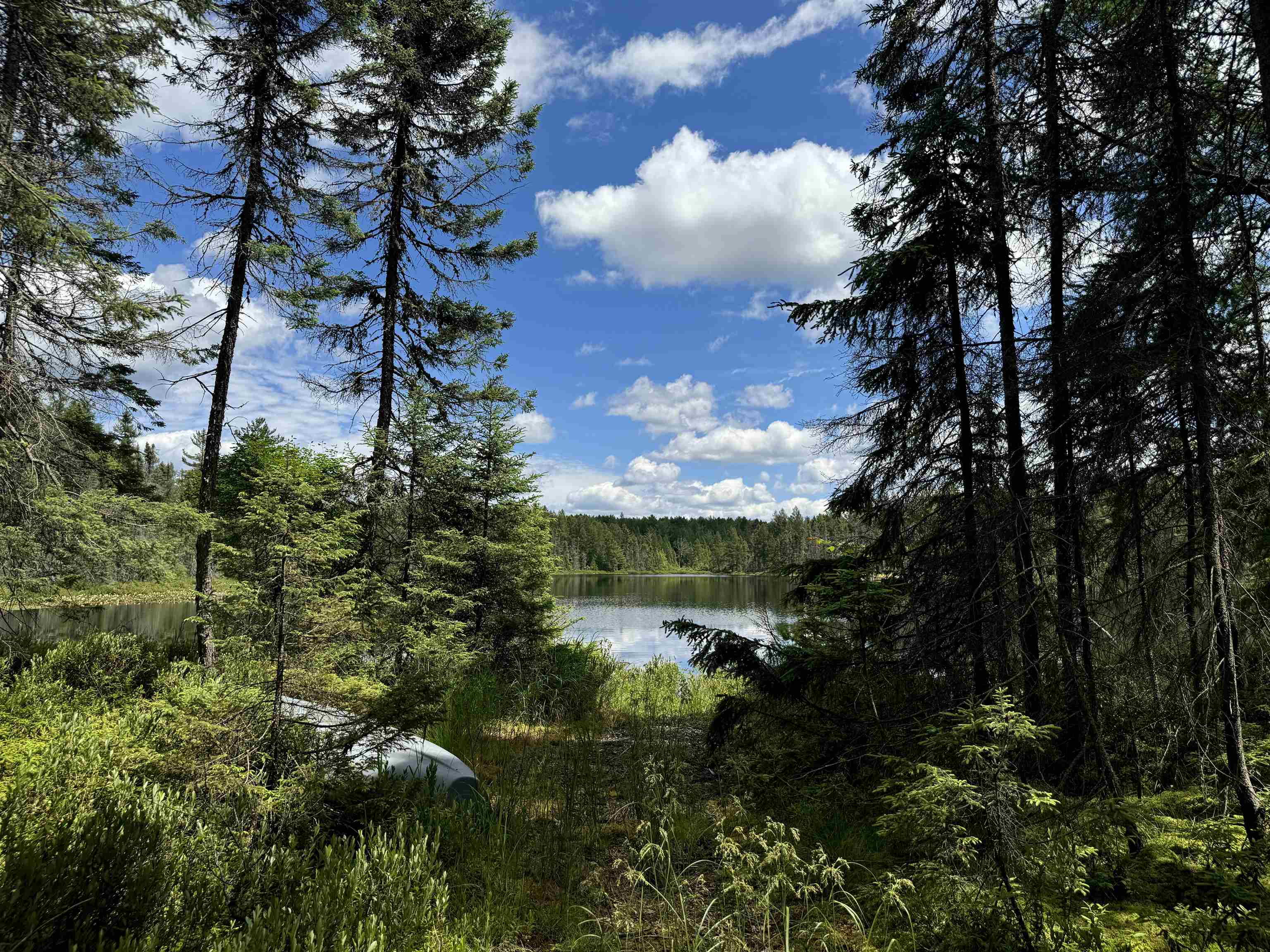 11674 SHERWOOD LANE, Woodruff, Wisconsin 54568, ,Land,For Sale,11674 SHERWOOD LANE,22601436