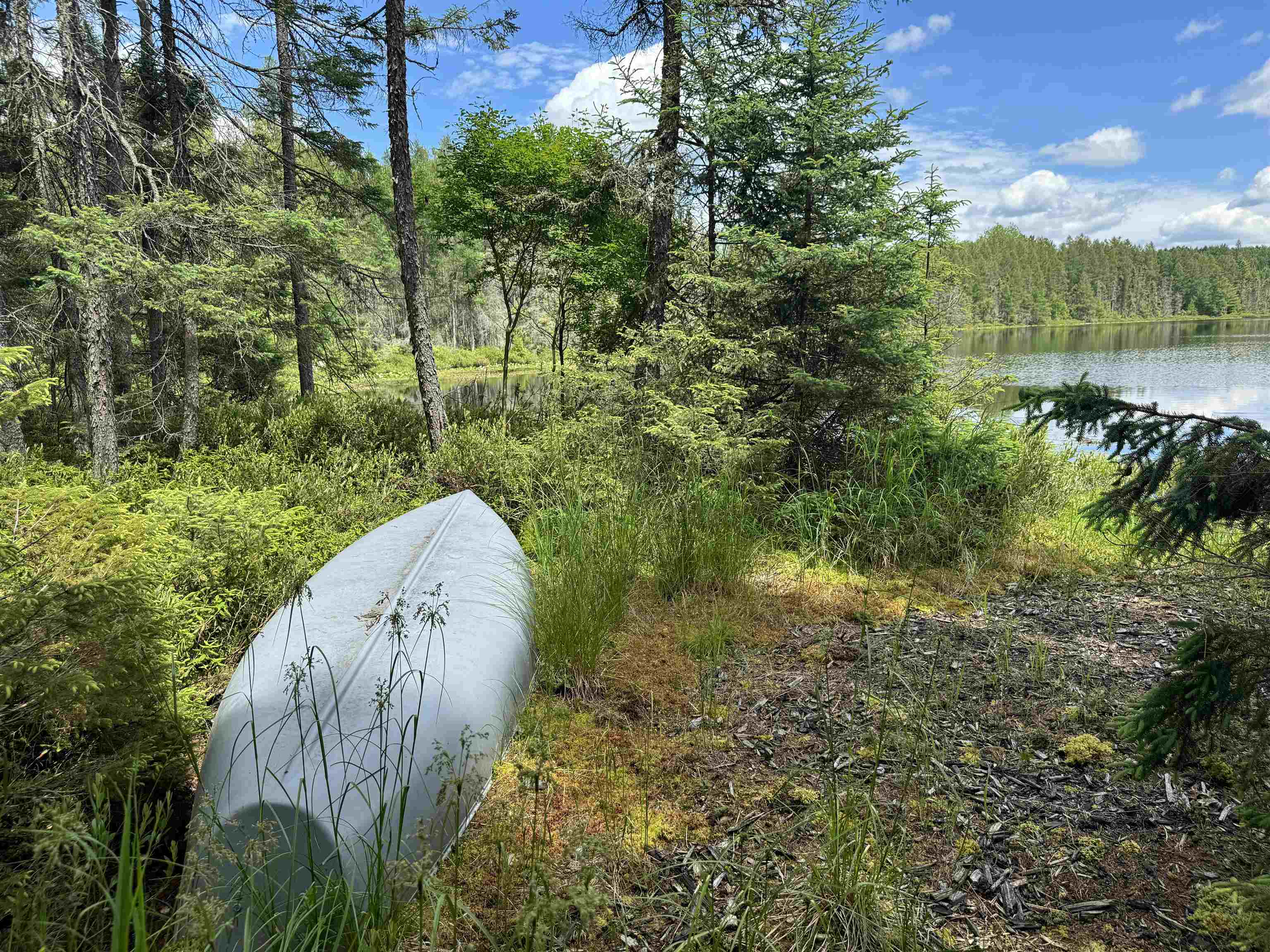 11674 SHERWOOD LANE, Woodruff, Wisconsin 54568, ,Land,For Sale,11674 SHERWOOD LANE,22601436