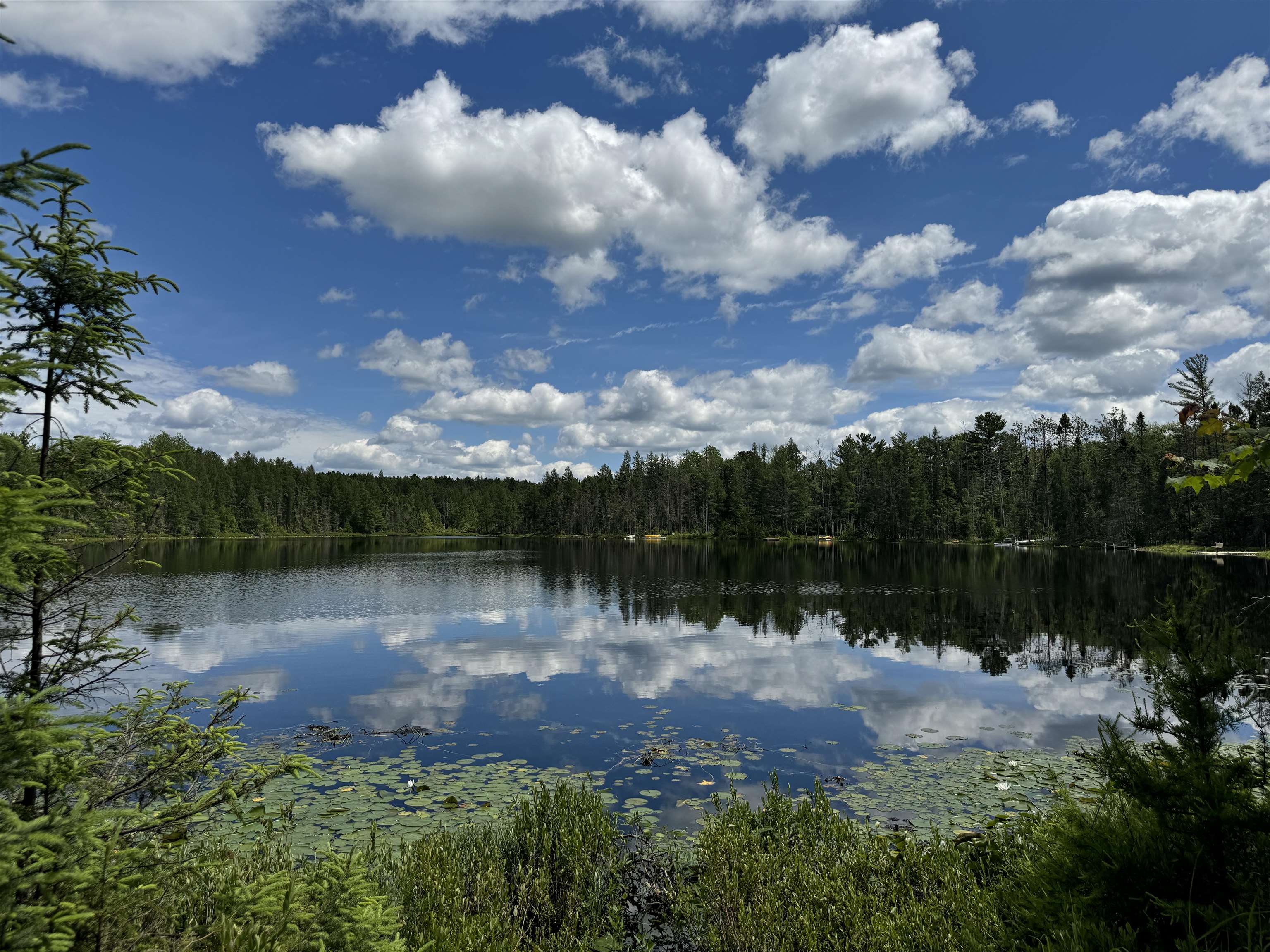 11674 SHERWOOD LANE, Woodruff, Wisconsin 54568, ,Land,For Sale,11674 SHERWOOD LANE,22601436