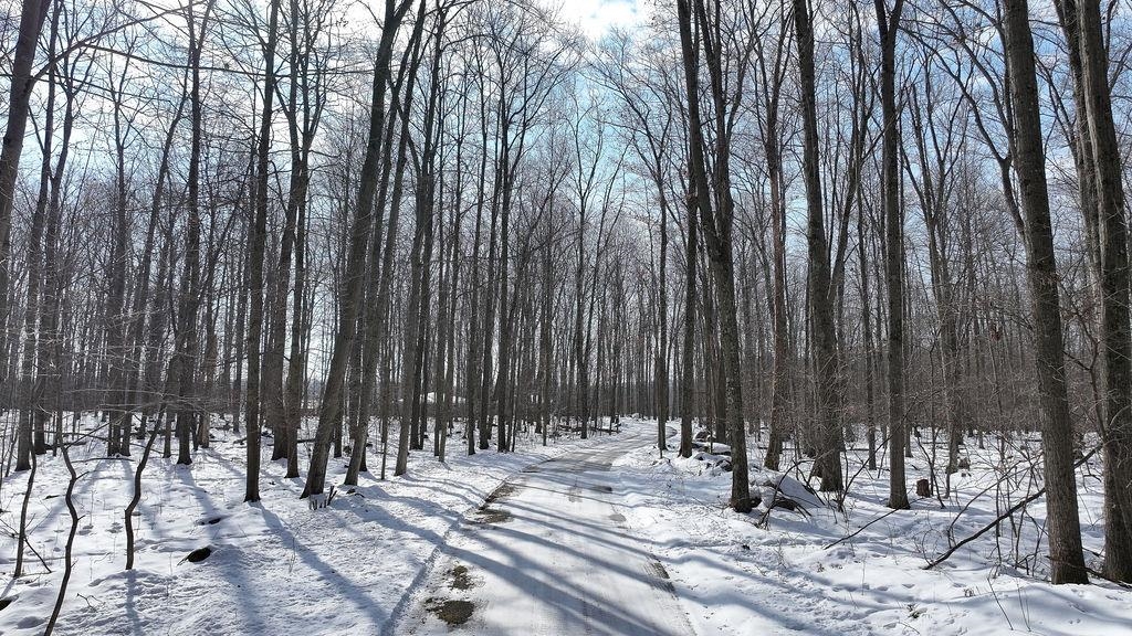 E1517 JOHNSON ROAD, Iola, Wisconsin 54945, 3 Bedrooms Bedrooms, ,3 BathroomsBathrooms,Residential,For Sale,E1517 JOHNSON ROAD,22601439