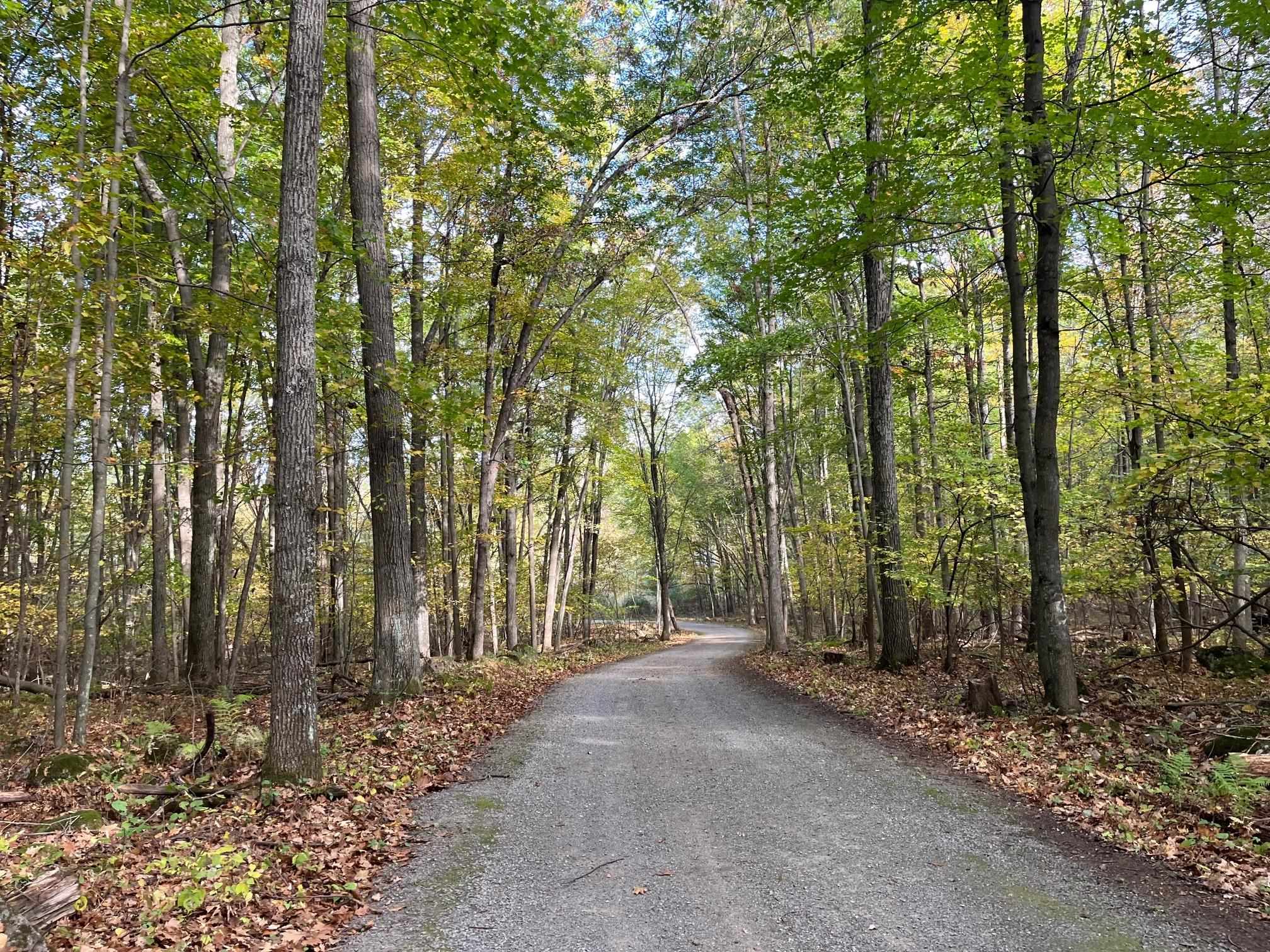 E1517 JOHNSON ROAD, Iola, Wisconsin 54945, 3 Bedrooms Bedrooms, ,3 BathroomsBathrooms,Residential,For Sale,E1517 JOHNSON ROAD,22601439