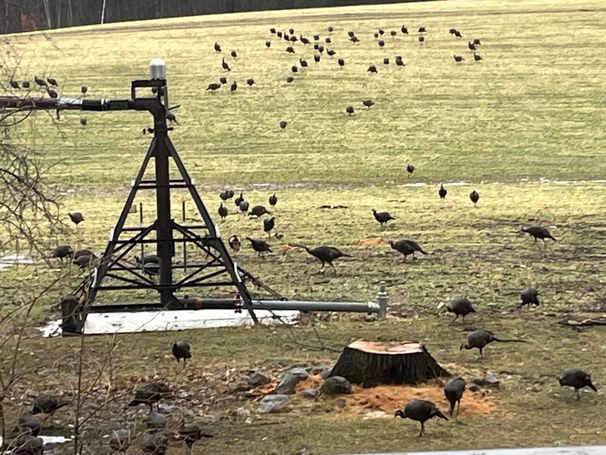 E1517 JOHNSON ROAD, Iola, Wisconsin 54945, 3 Bedrooms Bedrooms, ,3 BathroomsBathrooms,Residential,For Sale,E1517 JOHNSON ROAD,22601439