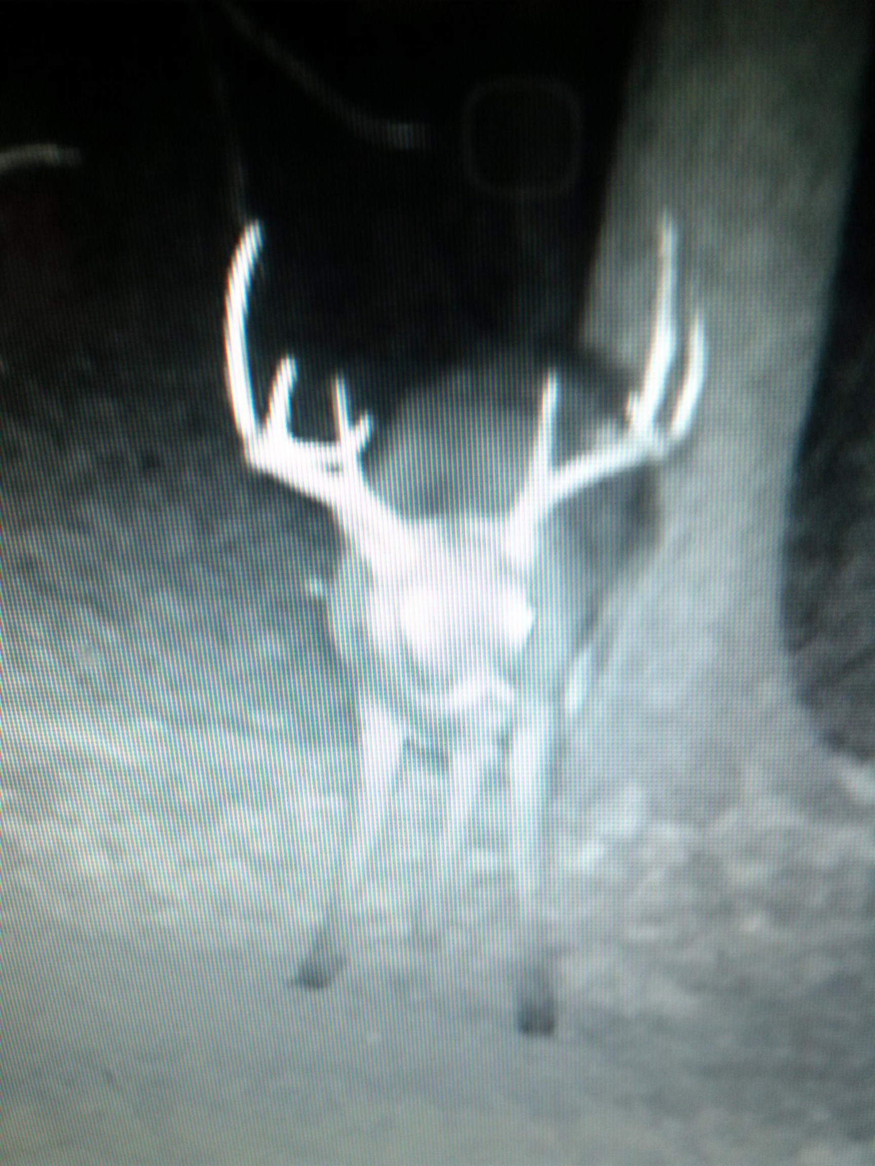 137733 FOUR MILE ROAD, Marathon, Wisconsin 54448, 2 Bedrooms Bedrooms, ,1 BathroomBathrooms,Residential,For Sale,137733 FOUR MILE ROAD,22601448