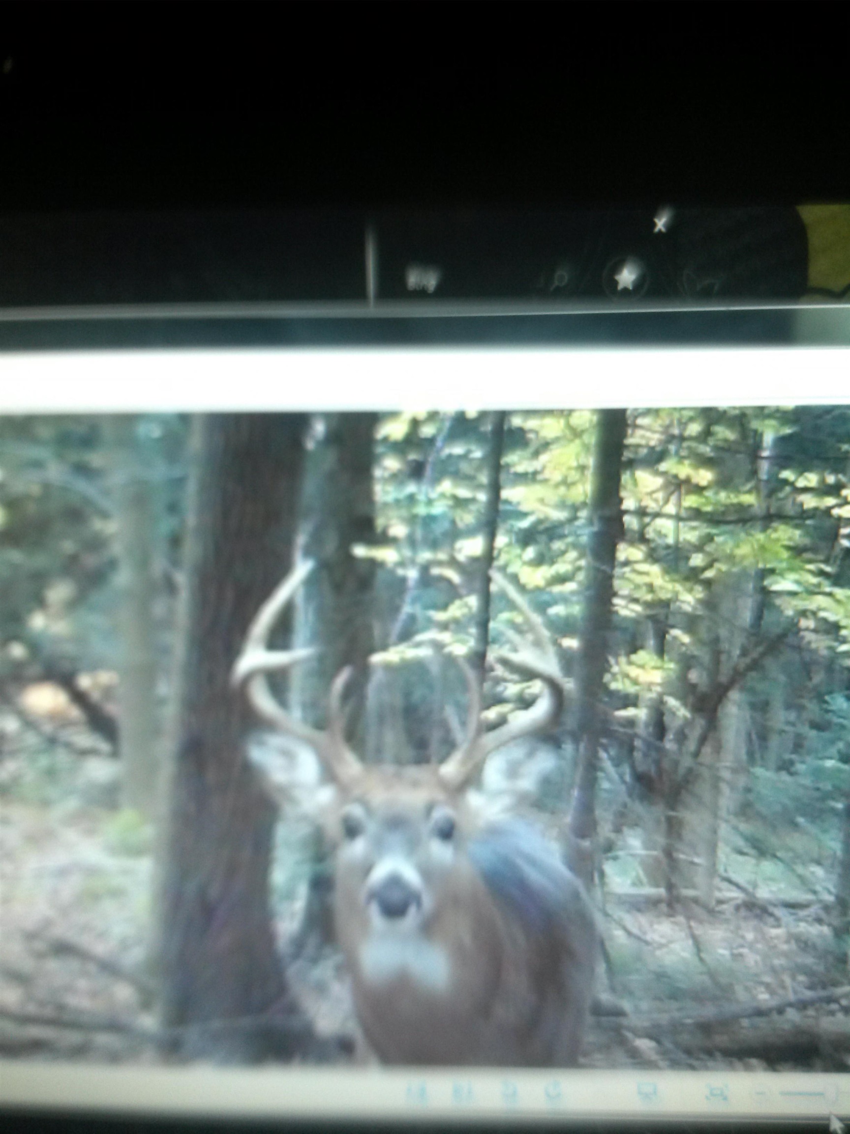 137733 FOUR MILE ROAD, Marathon, Wisconsin 54448, 2 Bedrooms Bedrooms, ,1 BathroomBathrooms,Residential,For Sale,137733 FOUR MILE ROAD,22601448