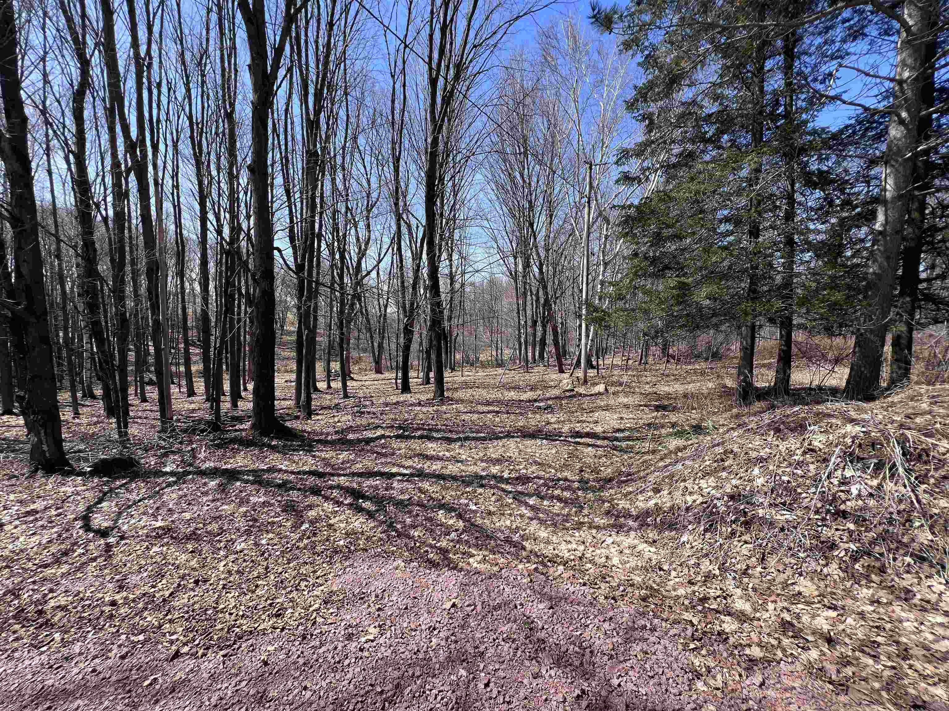 CANYON ROAD, Wausau, Wisconsin 54403, ,Land,For Sale,CANYON ROAD,22601449