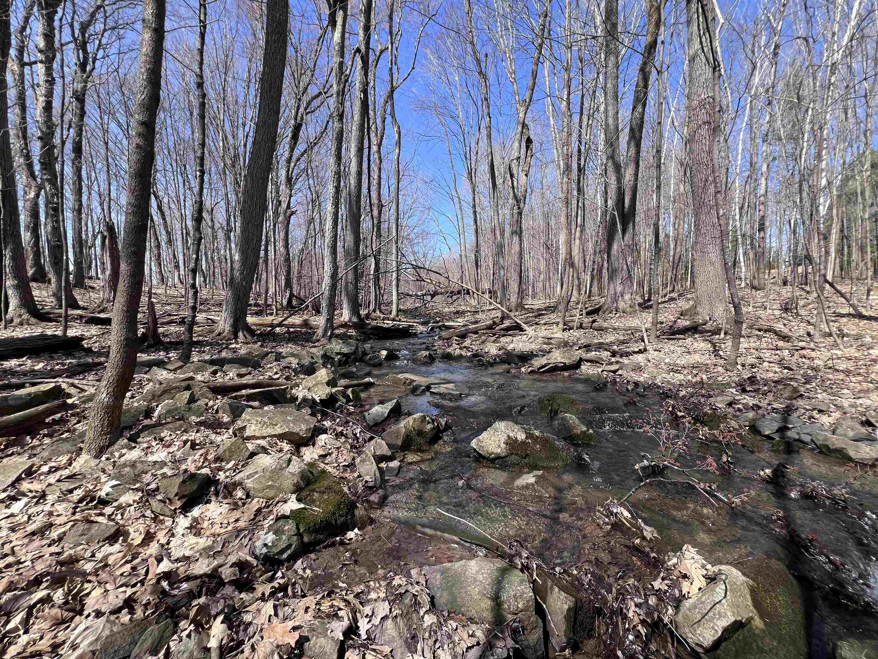 CANYON ROAD, Wausau, Wisconsin 54403, ,Land,For Sale,CANYON ROAD,22601449