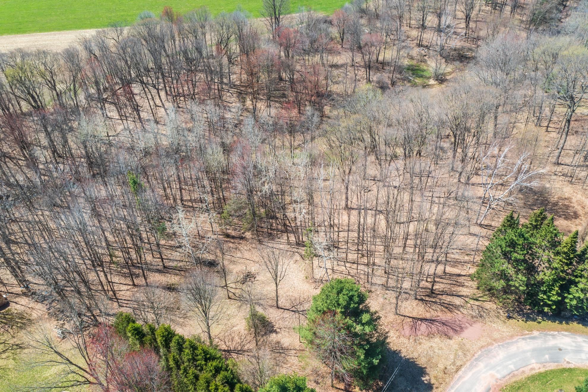 CANYON ROAD, Wausau, Wisconsin 54403, ,Land,For Sale,CANYON ROAD,22601449