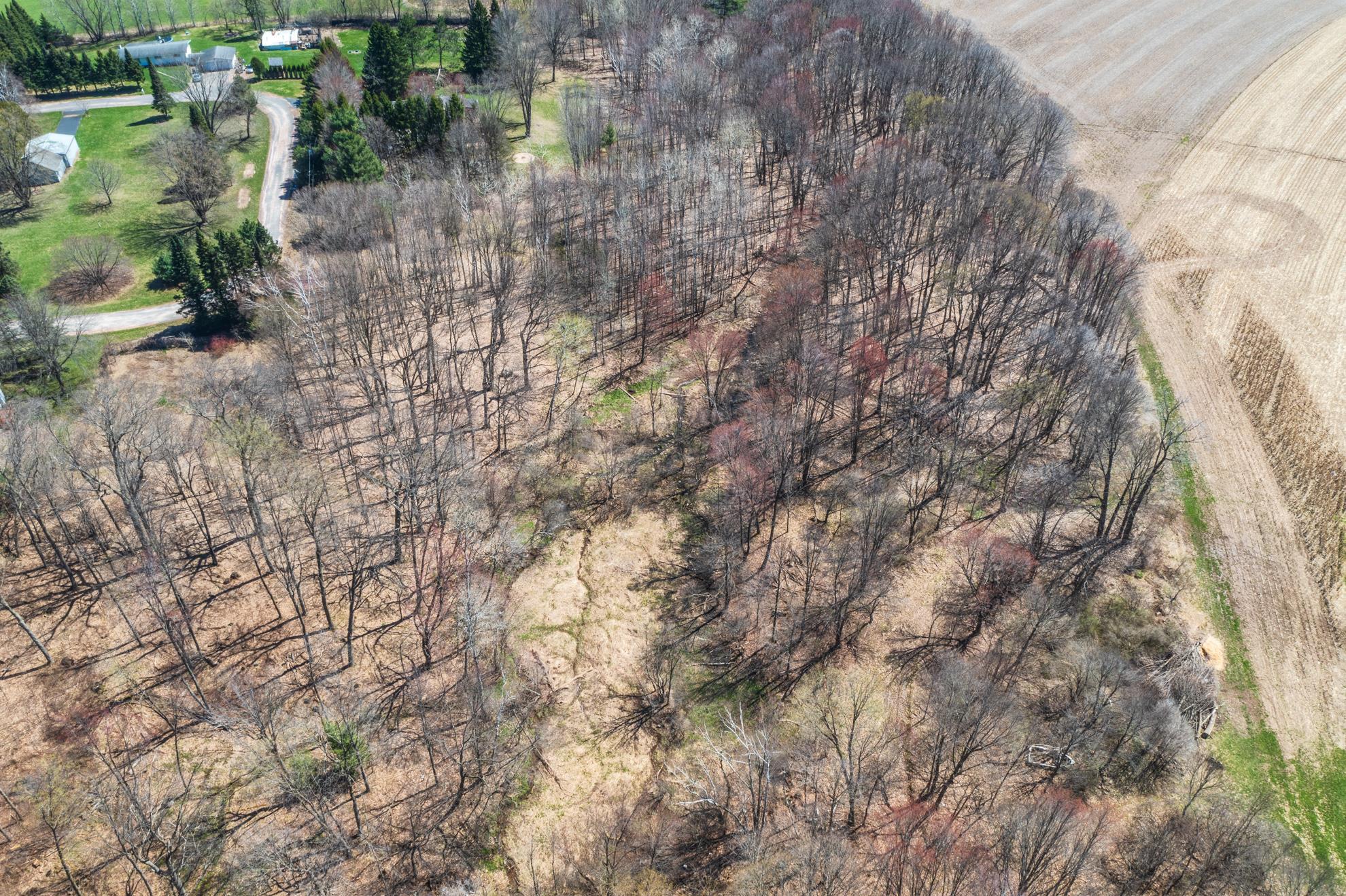 CANYON ROAD, Wausau, Wisconsin 54403, ,Land,For Sale,CANYON ROAD,22601449