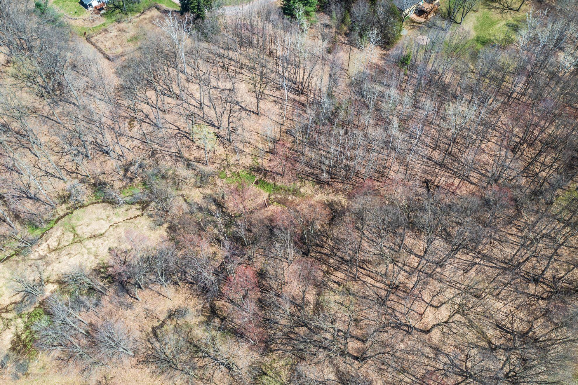 CANYON ROAD, Wausau, Wisconsin 54403, ,Land,For Sale,CANYON ROAD,22601449