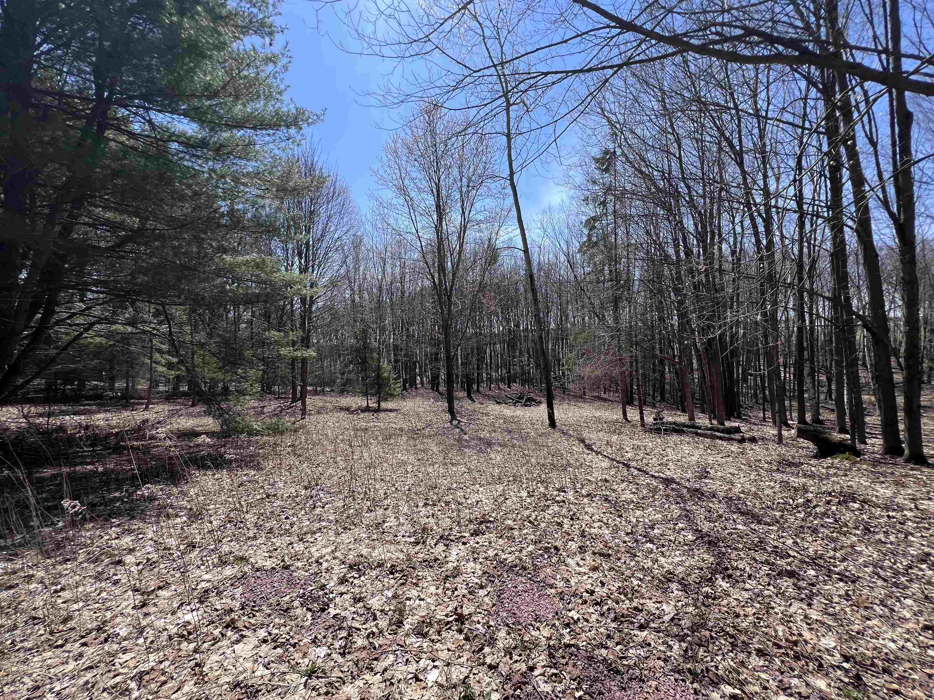 CANYON ROAD, Wausau, Wisconsin 54403, ,Land,For Sale,CANYON ROAD,22601449