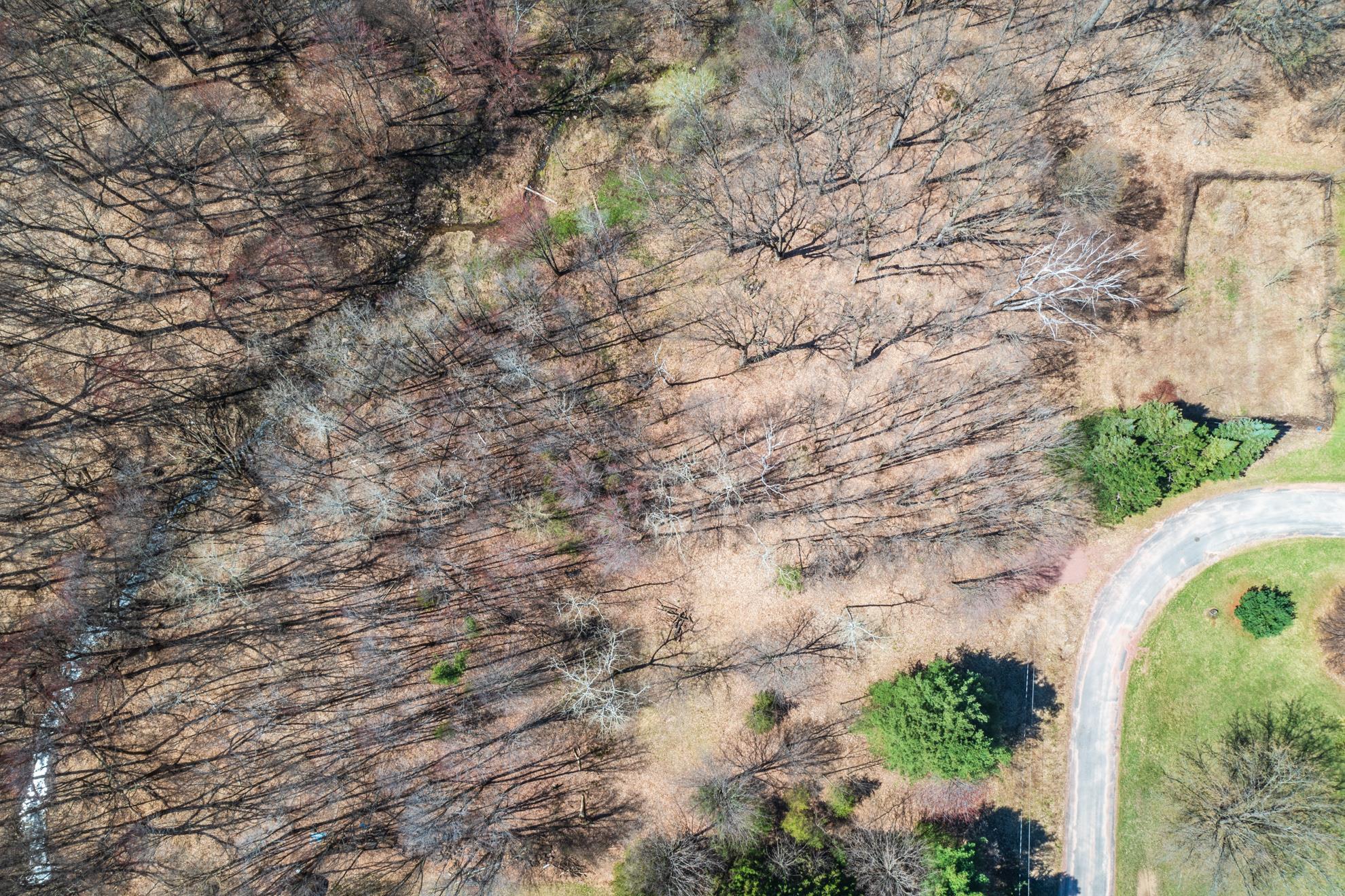 CANYON ROAD, Wausau, Wisconsin 54403, ,Land,For Sale,CANYON ROAD,22601449