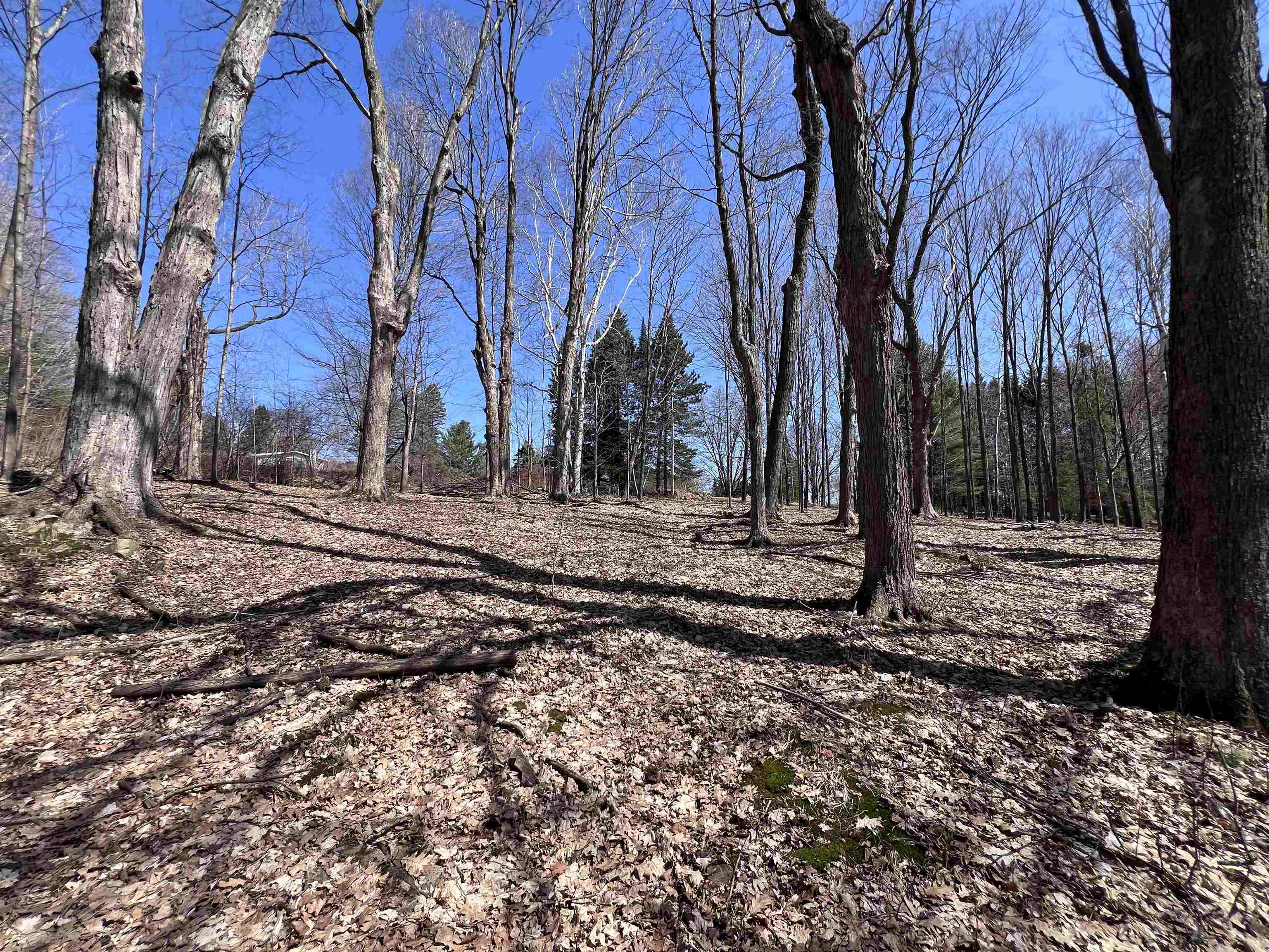 CANYON ROAD, Wausau, Wisconsin 54403, ,Land,For Sale,CANYON ROAD,22601449