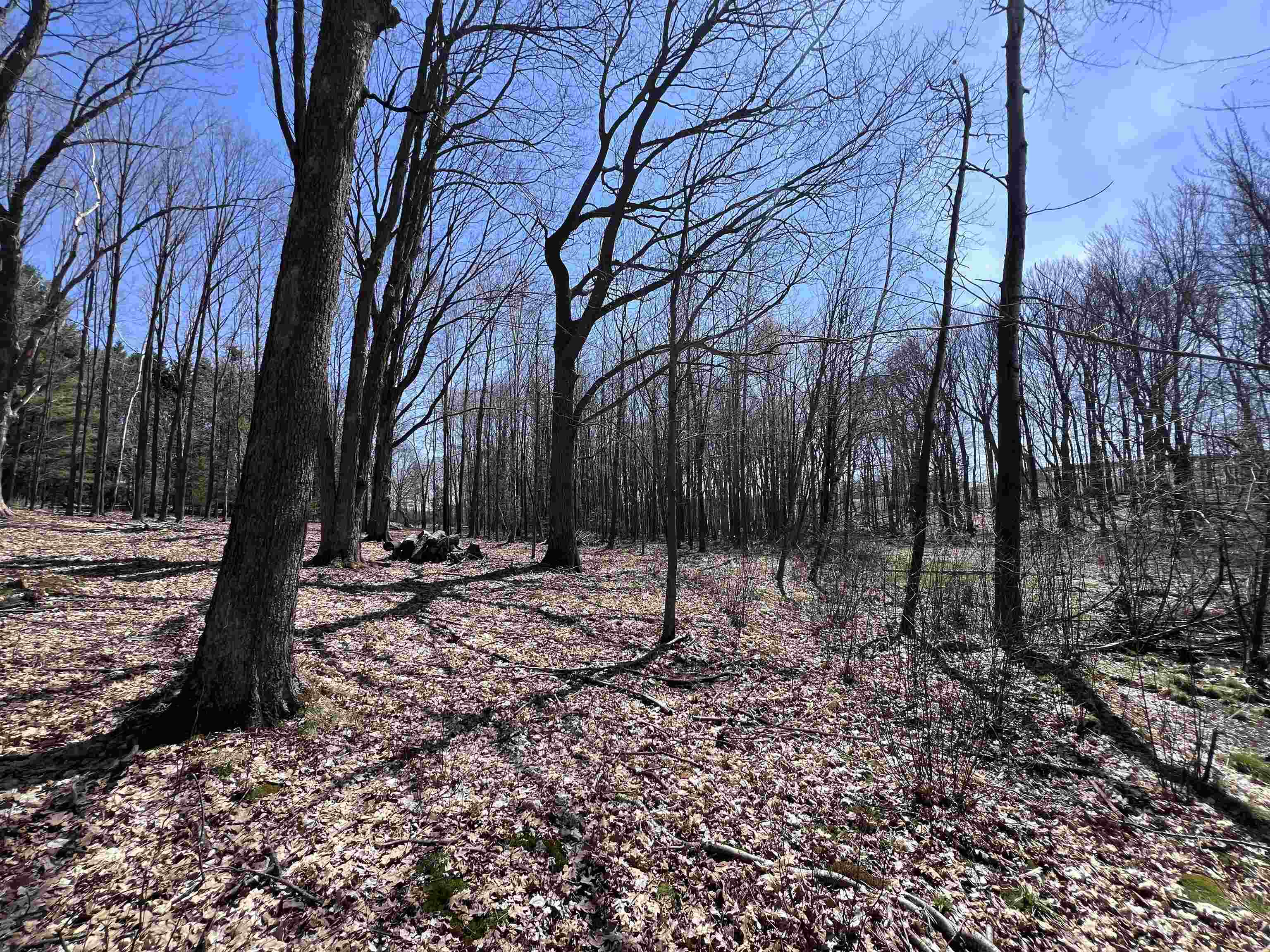 CANYON ROAD, Wausau, Wisconsin 54403, ,Land,For Sale,CANYON ROAD,22601449