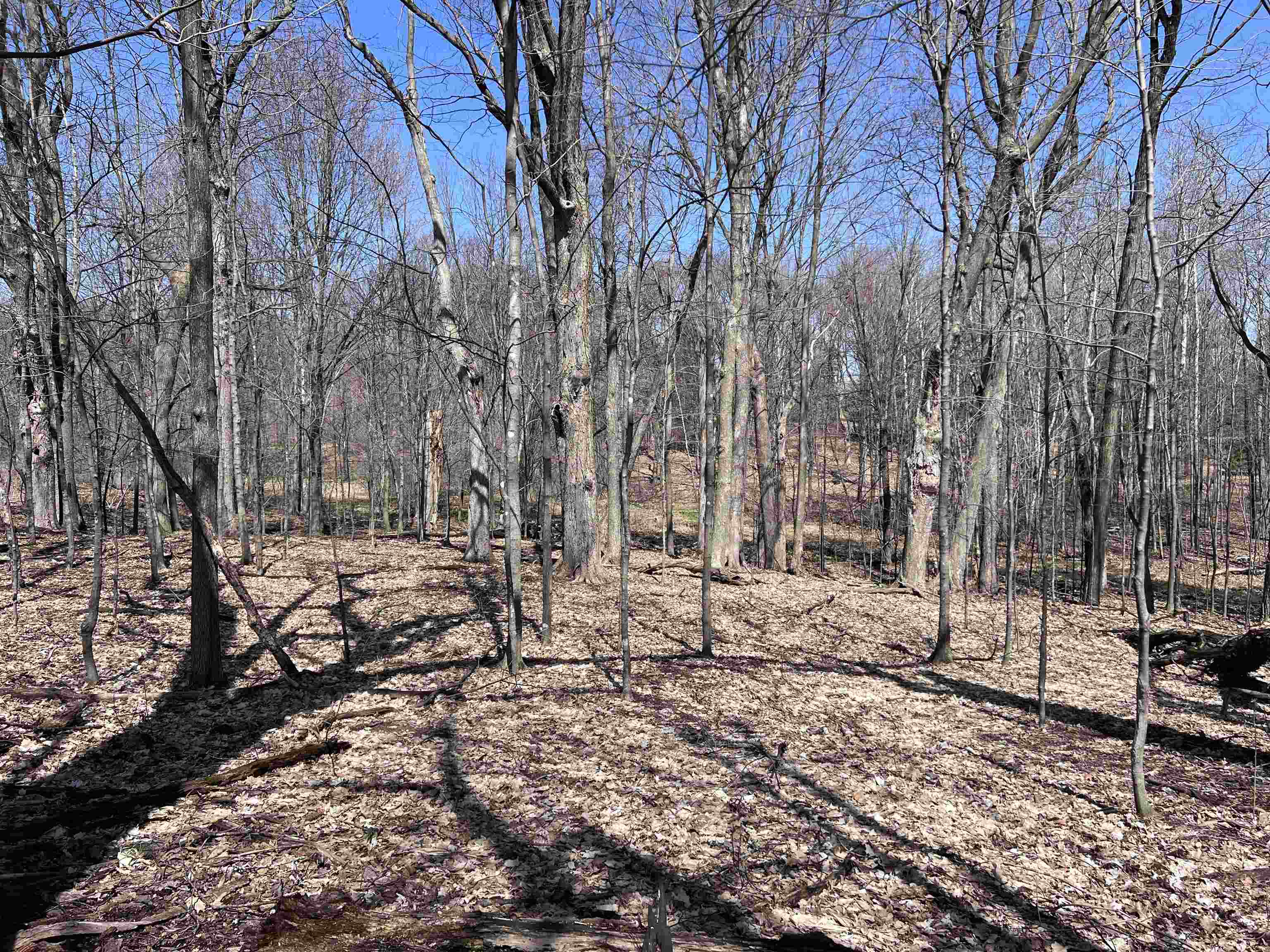 CANYON ROAD, Wausau, Wisconsin 54403, ,Land,For Sale,CANYON ROAD,22601449