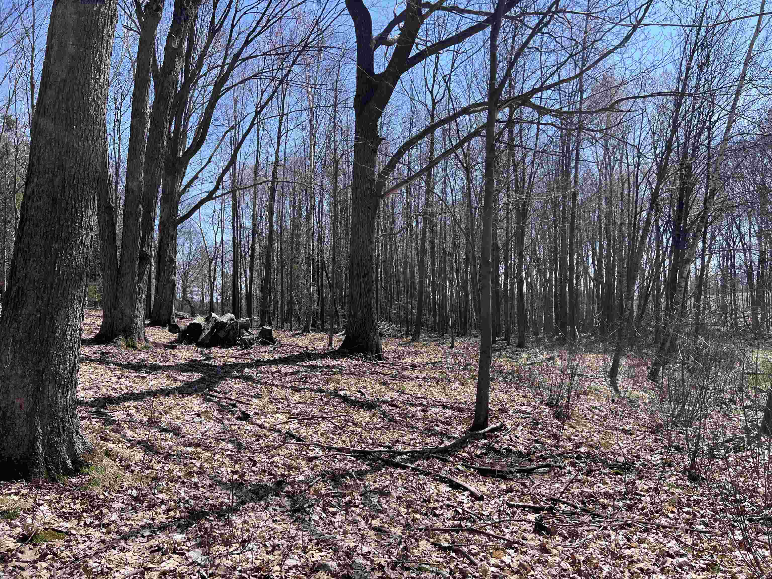 CANYON ROAD, Wausau, Wisconsin 54403, ,Land,For Sale,CANYON ROAD,22601449