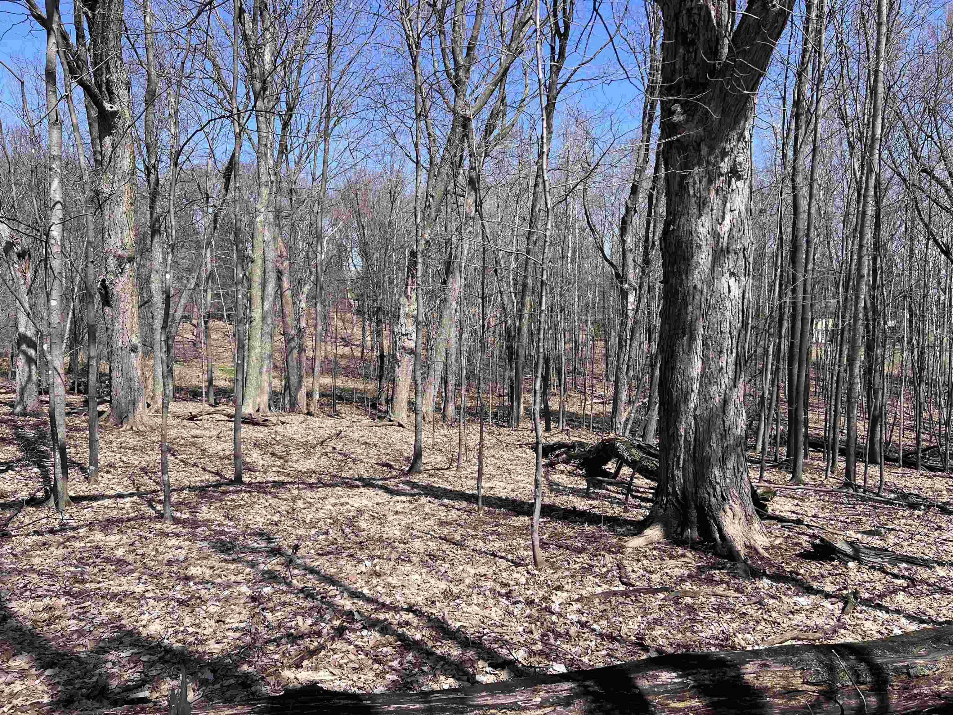 CANYON ROAD, Wausau, Wisconsin 54403, ,Land,For Sale,CANYON ROAD,22601449