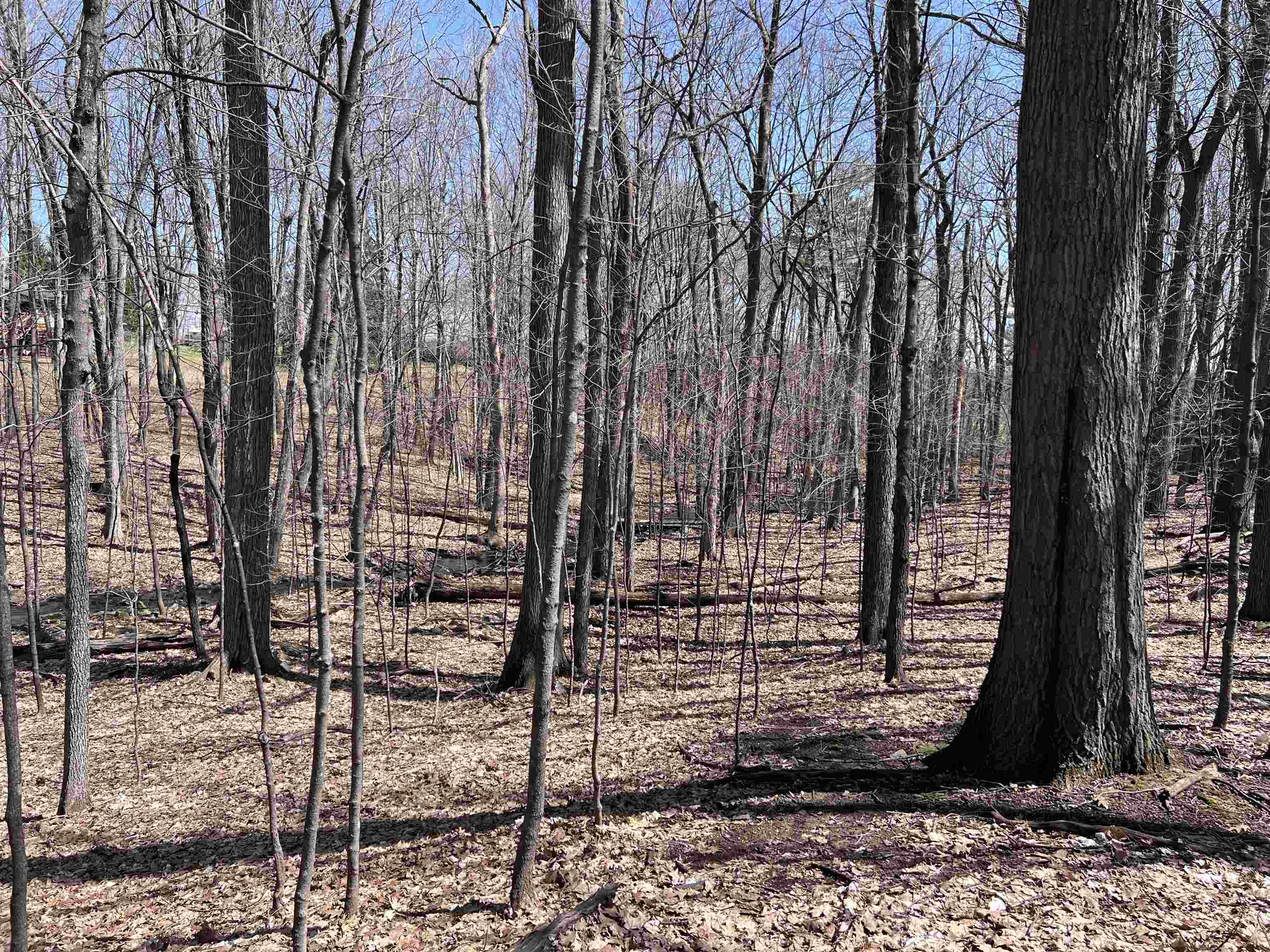 CANYON ROAD, Wausau, Wisconsin 54403, ,Land,For Sale,CANYON ROAD,22601449