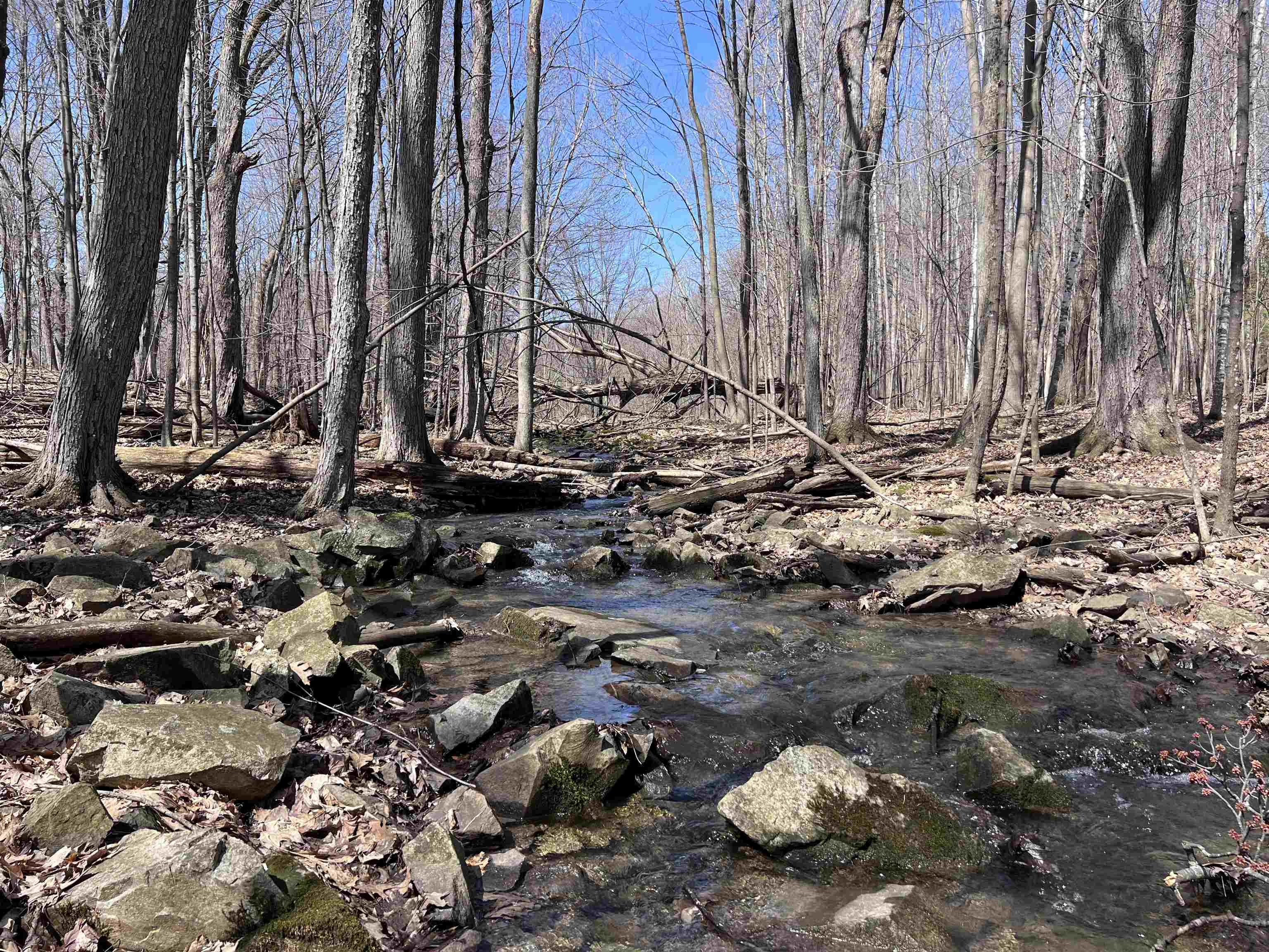 CANYON ROAD, Wausau, Wisconsin 54403, ,Land,For Sale,CANYON ROAD,22601449