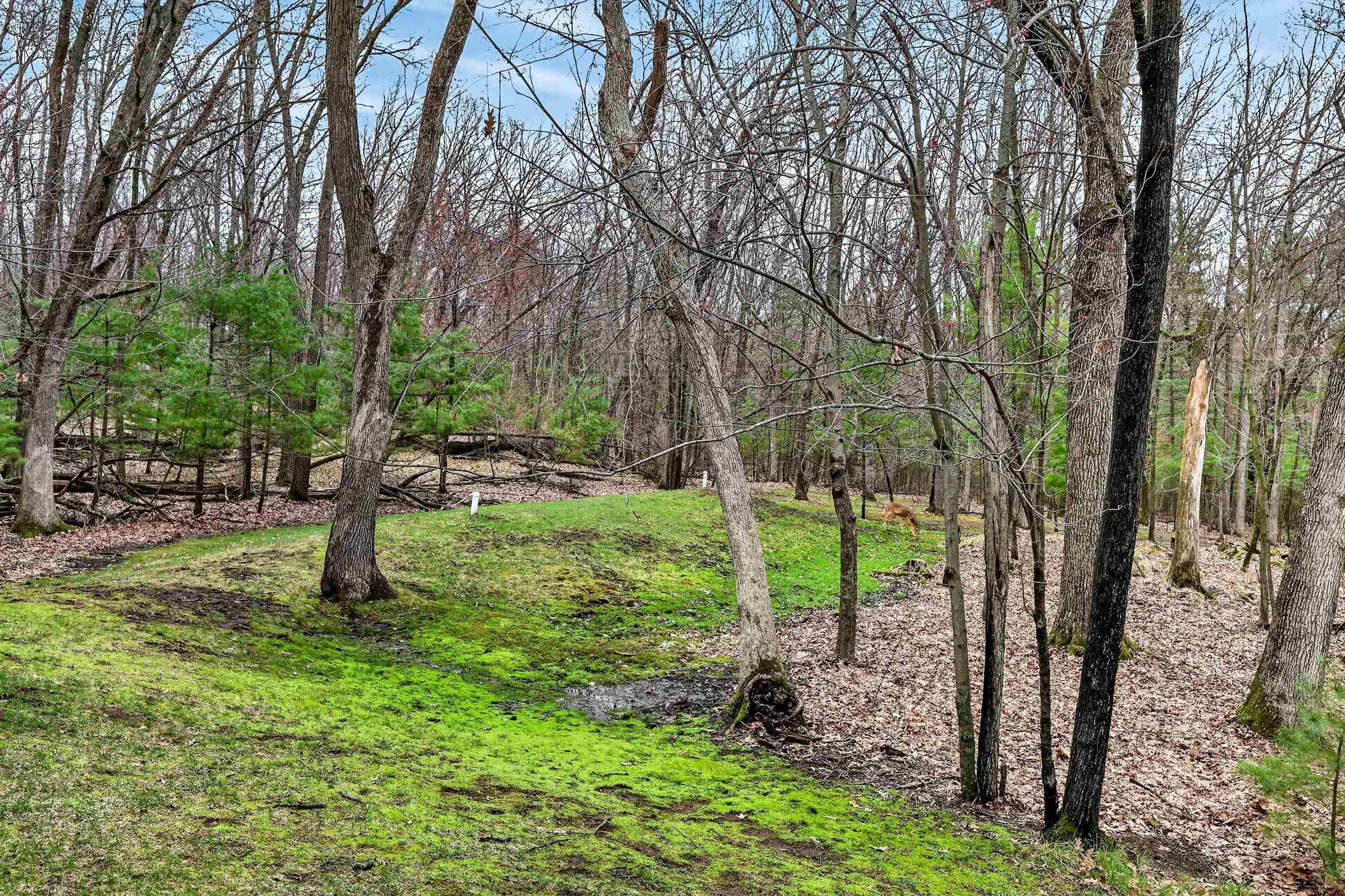 4028 WOODRIDGE TRACE, Wisconsin Rapids, Wisconsin 54495, 4 Bedrooms Bedrooms, ,2 BathroomsBathrooms,Residential,For Sale,4028 WOODRIDGE TRACE,22601495