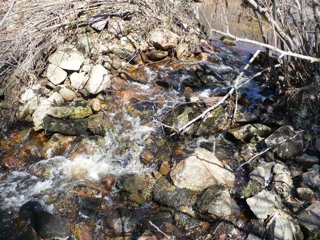 N8879 DICKERSON AVENUE, Willard, Wisconsin 54493, 2 Bedrooms Bedrooms, ,1 BathroomBathrooms,Residential,For Sale,N8879 DICKERSON AVENUE,22601499