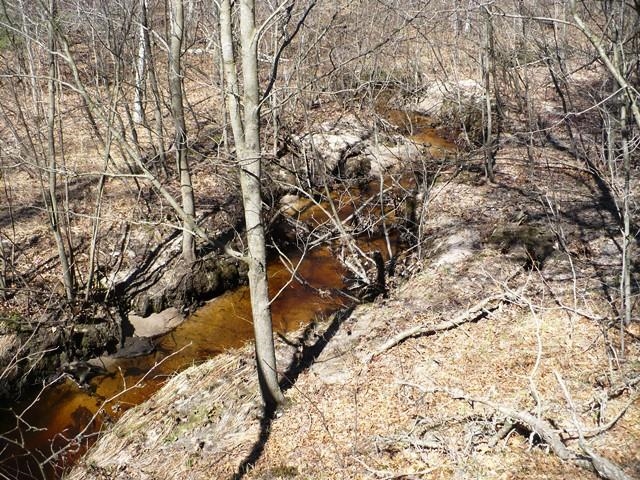 N8879 DICKERSON AVENUE, Willard, Wisconsin 54493, 2 Bedrooms Bedrooms, ,1 BathroomBathrooms,Residential,For Sale,N8879 DICKERSON AVENUE,22601499