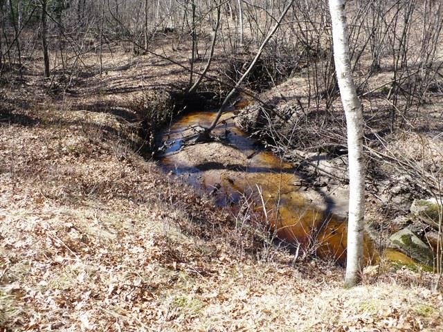 N8879 DICKERSON AVENUE, Willard, Wisconsin 54493, 2 Bedrooms Bedrooms, ,1 BathroomBathrooms,Residential,For Sale,N8879 DICKERSON AVENUE,22601499