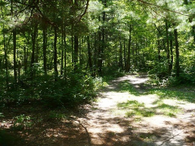 N8879 DICKERSON AVENUE, Willard, Wisconsin 54493, 2 Bedrooms Bedrooms, ,1 BathroomBathrooms,Residential,For Sale,N8879 DICKERSON AVENUE,22601499