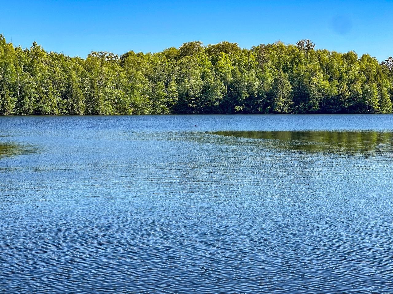 N8605 MARQUARDT ROAD, Gleason, Wisconsin 54435, 2 Bedrooms Bedrooms, ,1 BathroomBathrooms,Residential,For Sale,N8605 MARQUARDT ROAD,22601516