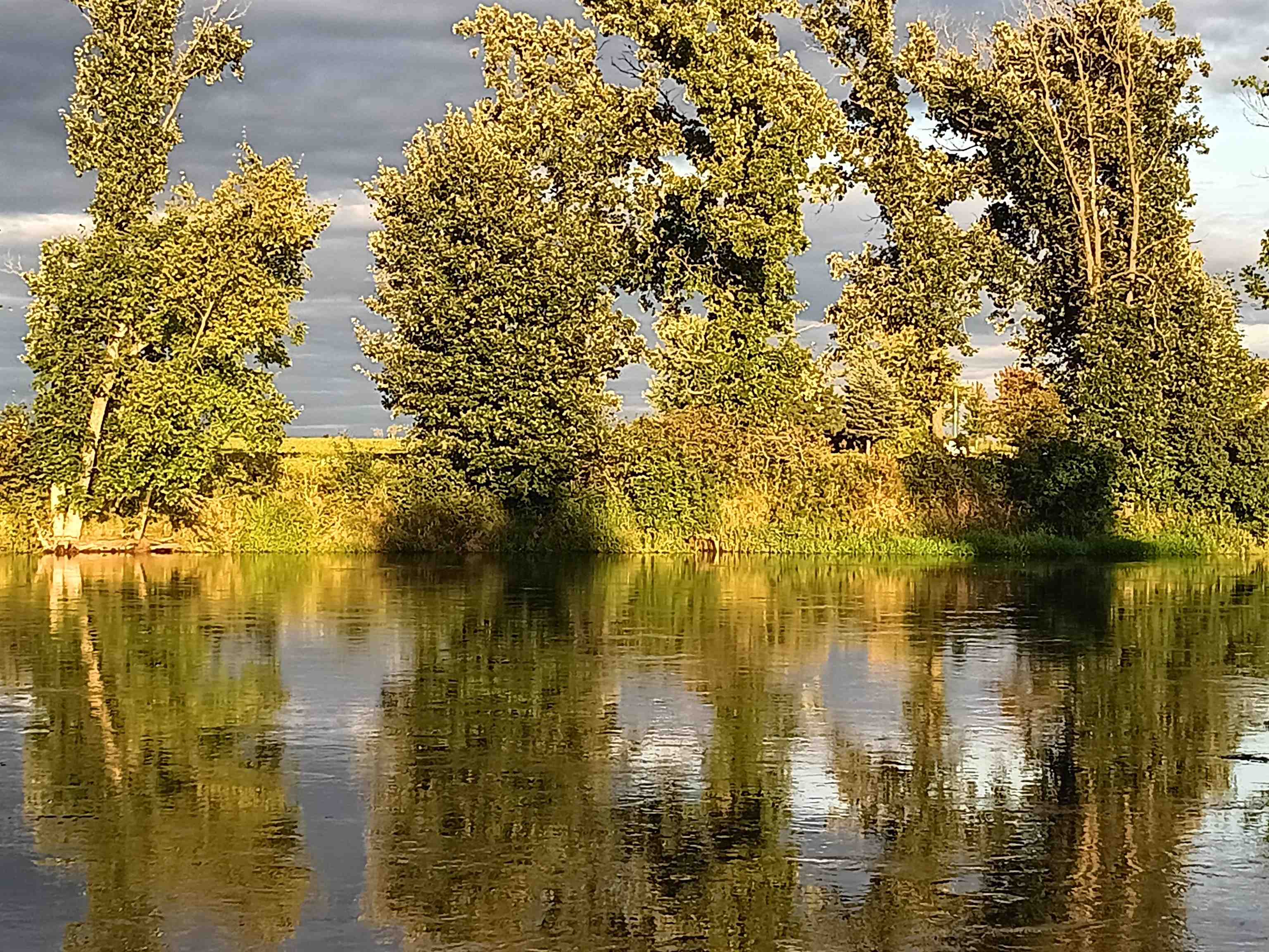 1019 19 3/4 STREET, CAMERON, Wisconsin 54822-9536, 2 Bedrooms Bedrooms, ,2 BathroomsBathrooms,Residential,For Sale,1019 19 3/4 STREET,22601518