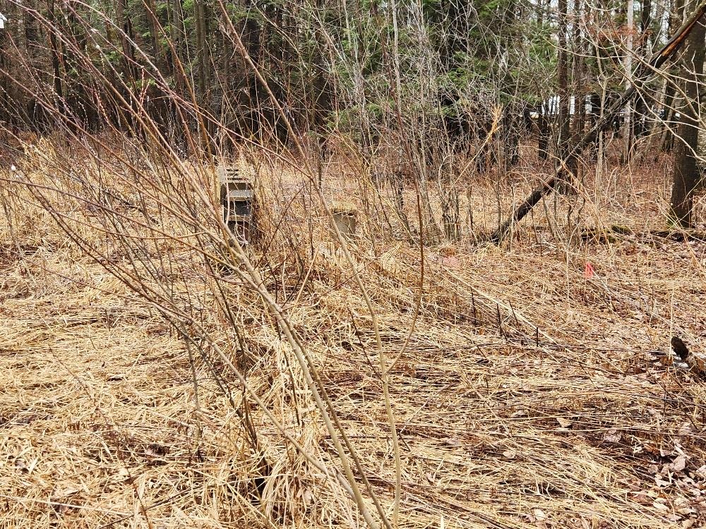 W10582 CARPENTER ROAD, Tripoli, Wisconsin 54564, ,Land,For Sale,W10582 CARPENTER ROAD,22601527