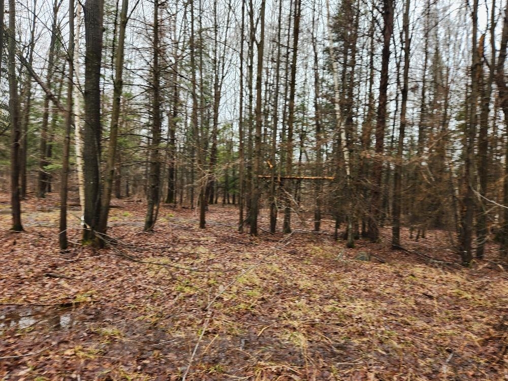 W10582 CARPENTER ROAD, Tripoli, Wisconsin 54564, ,Land,For Sale,W10582 CARPENTER ROAD,22601527